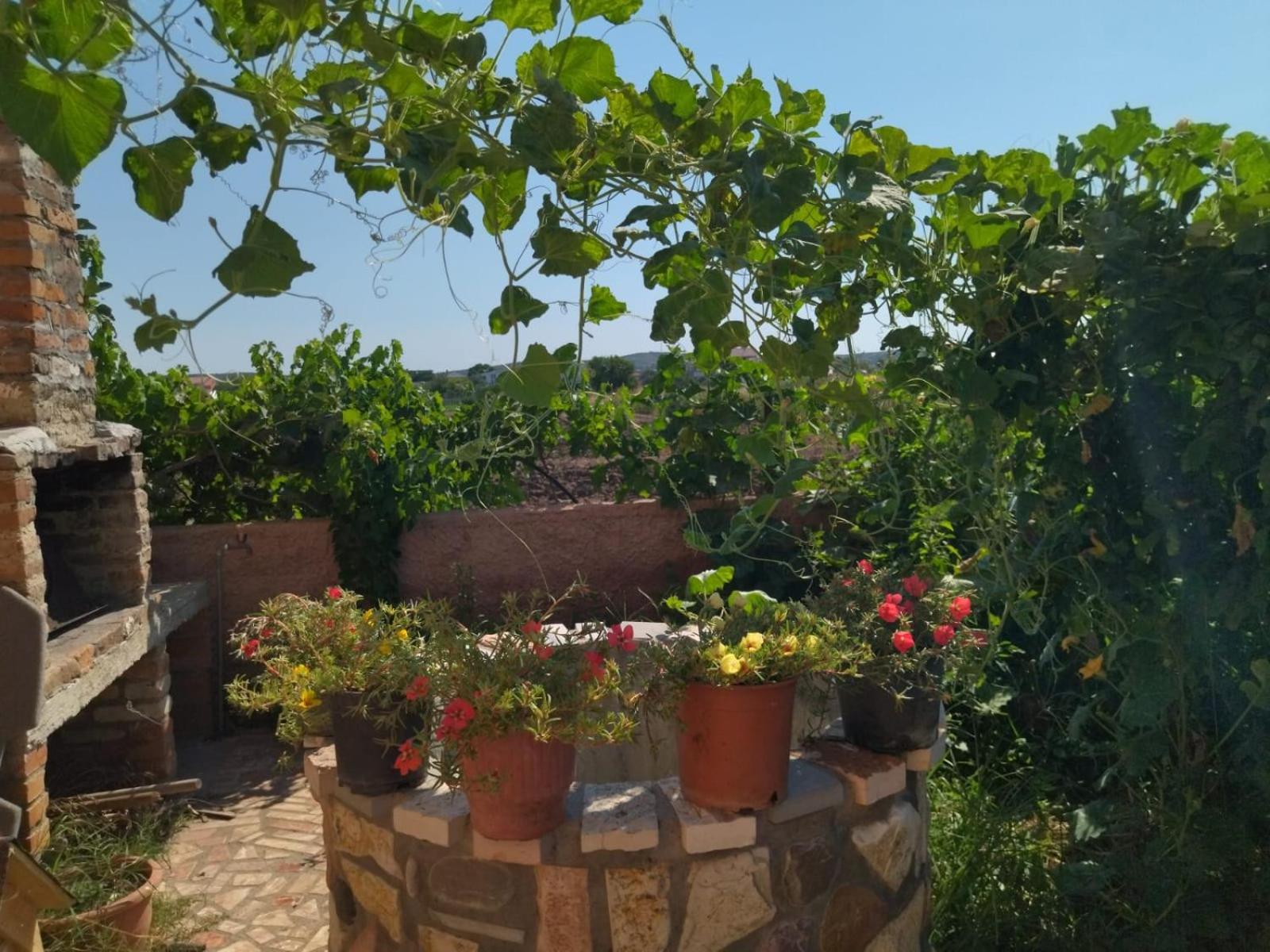 The Garden Guest House