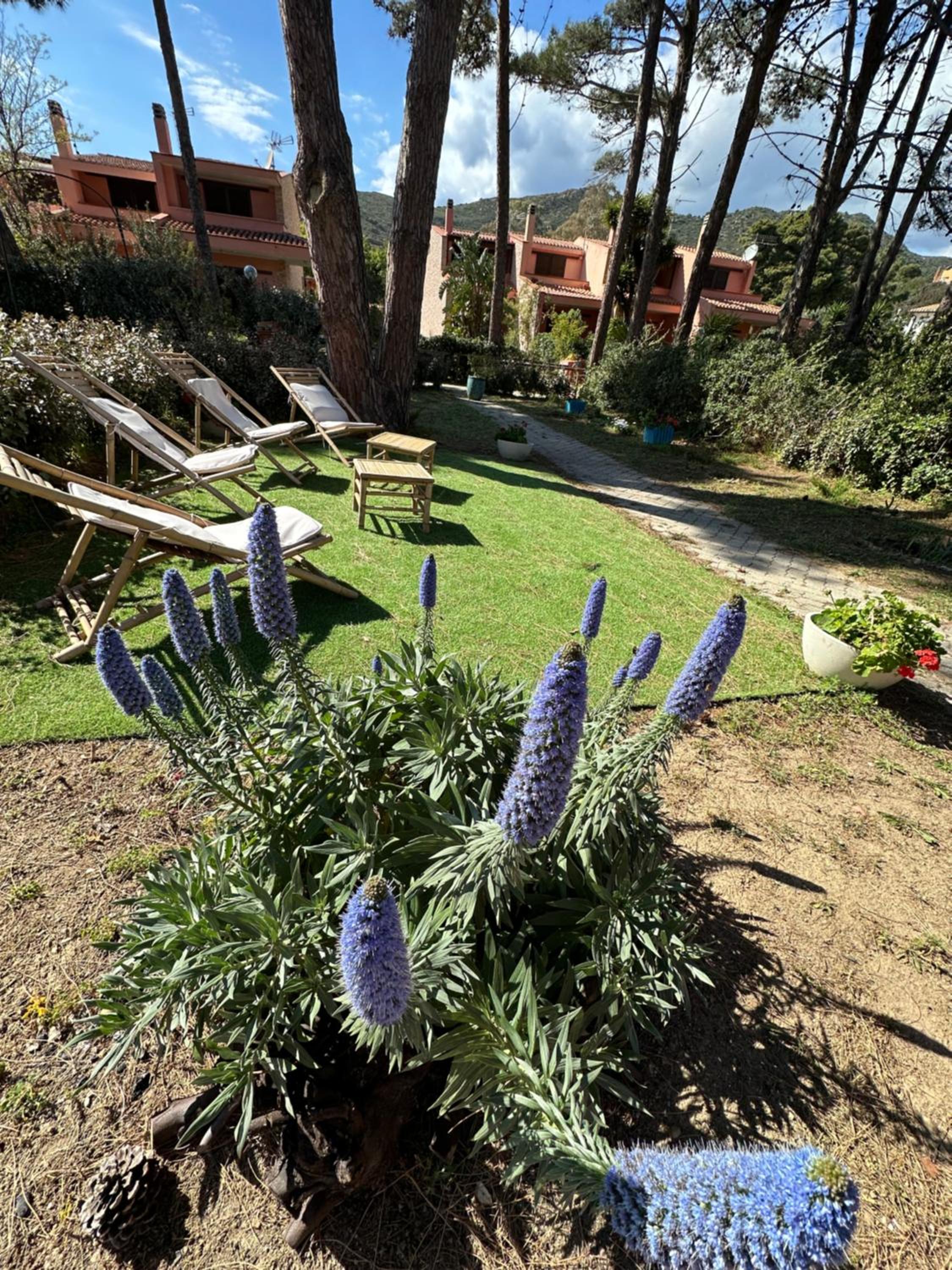 Villa Hibiscus