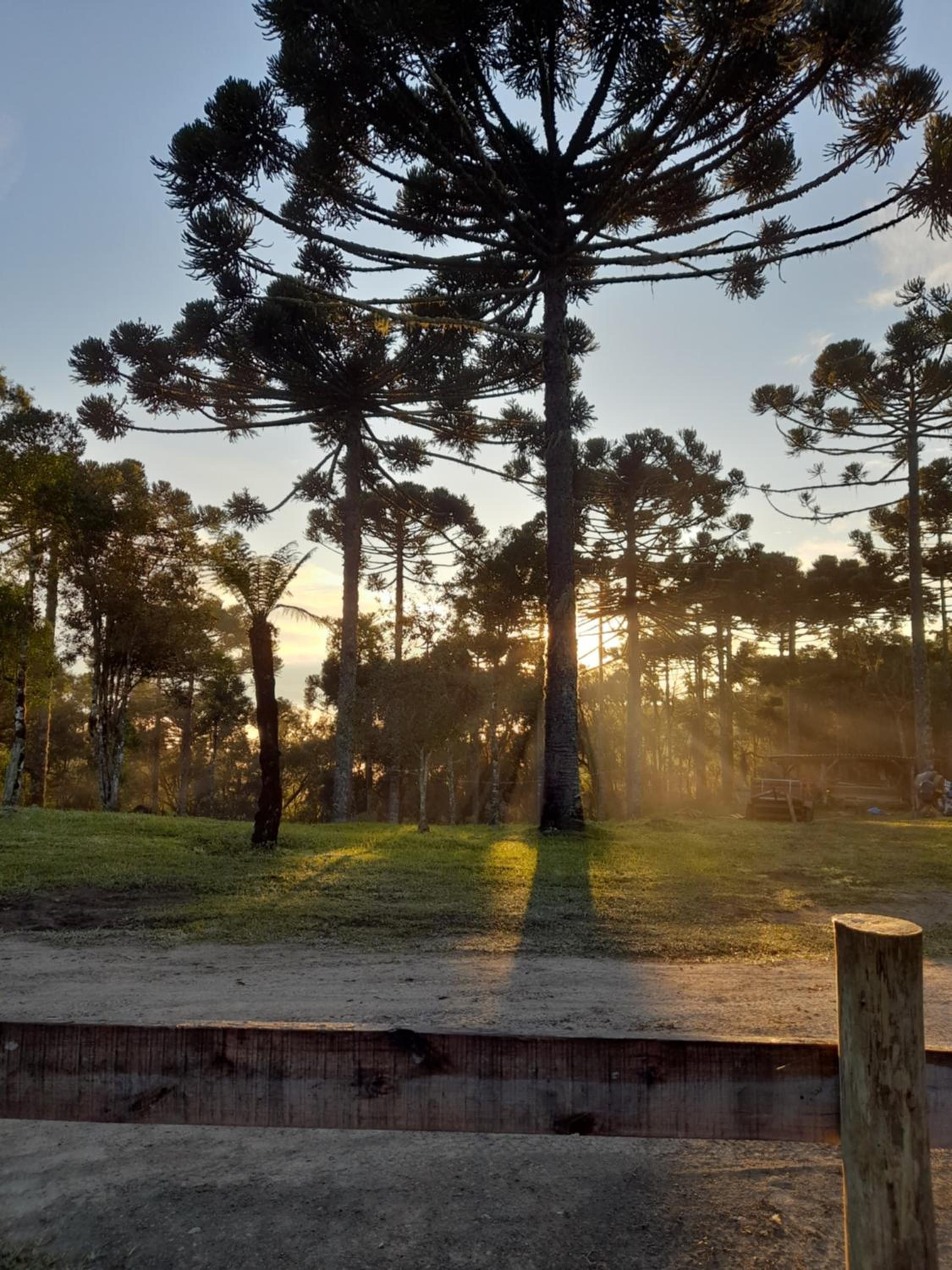 Refúgio Altos do Campestre - TURISMO RURAL