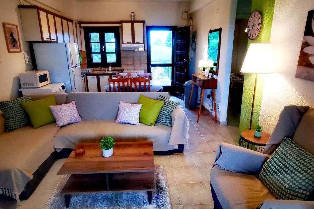 Golden Summer Apartment photo 3