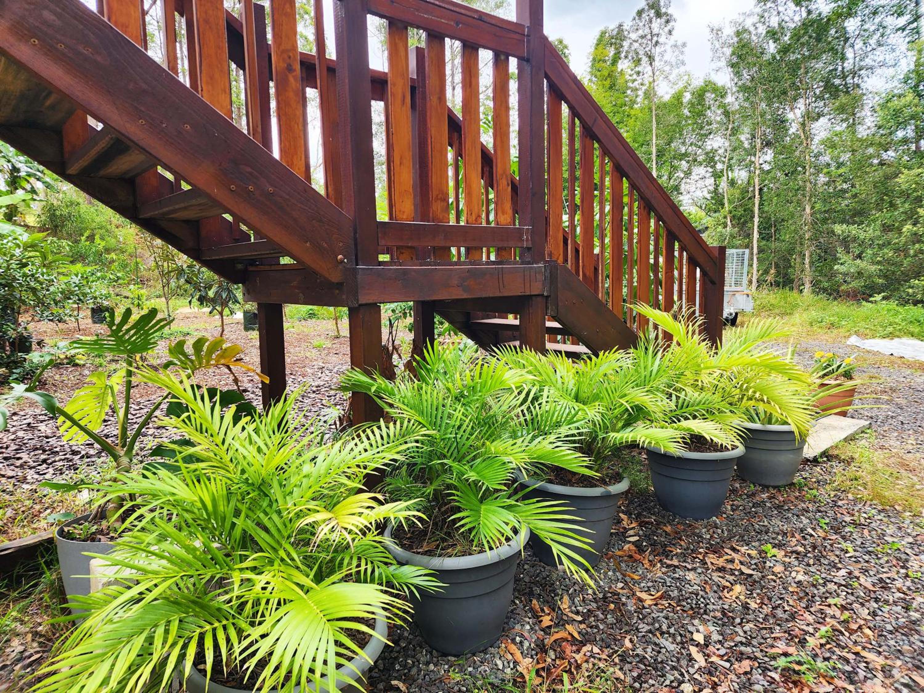 Cosy Studio with Forest Views, Noosa Hinterland