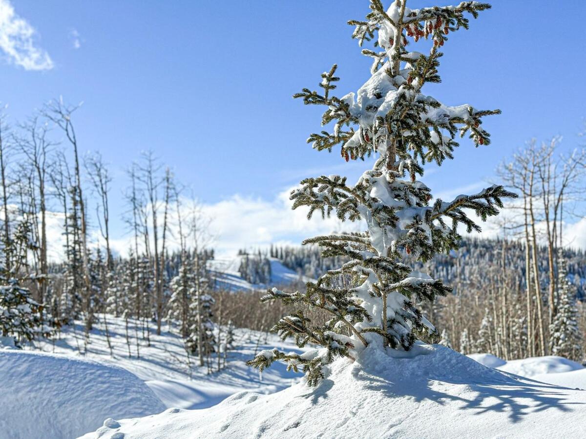 Eagle Roost Retreat By Ski Lifts