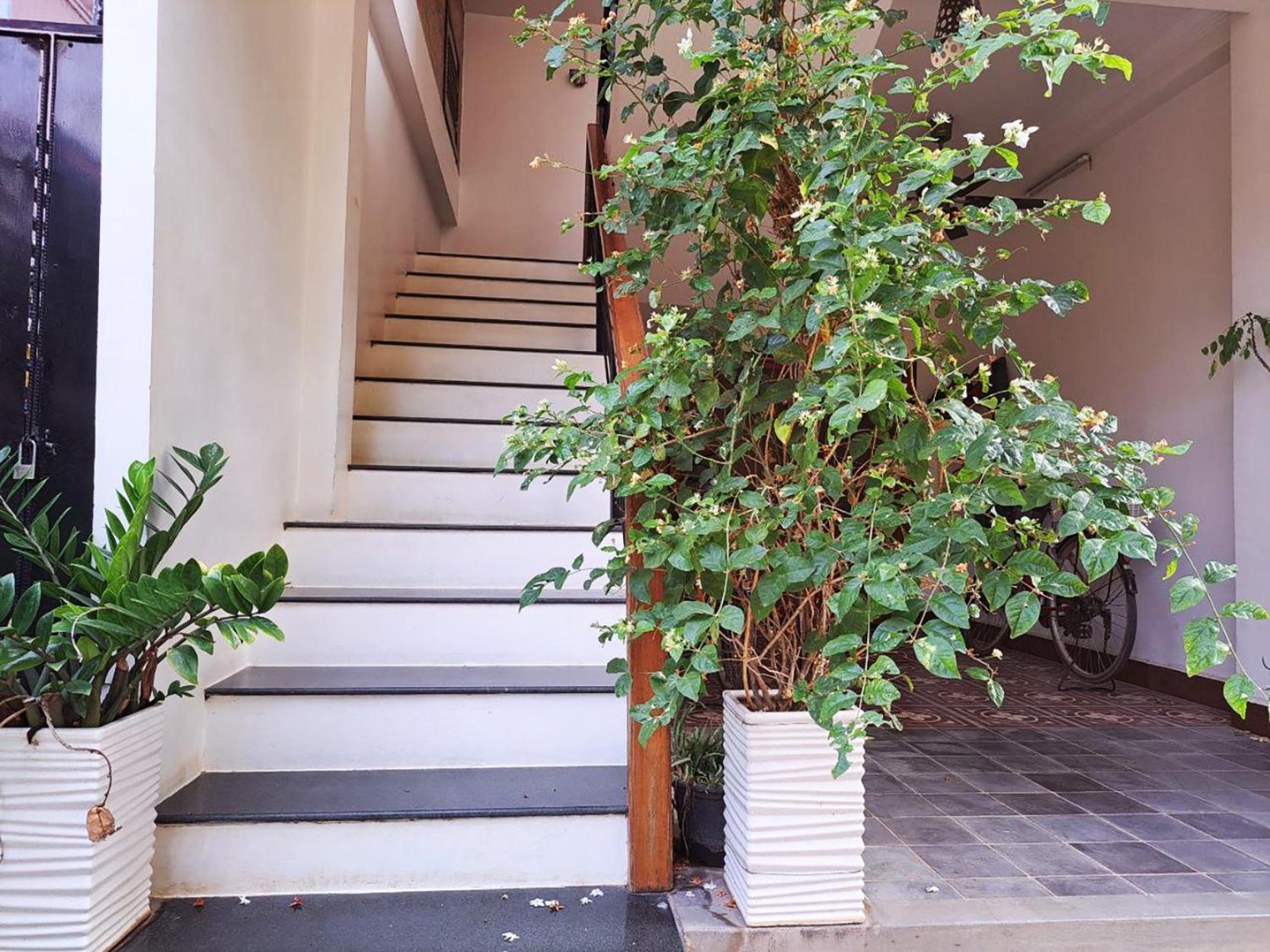 Nary Apartment