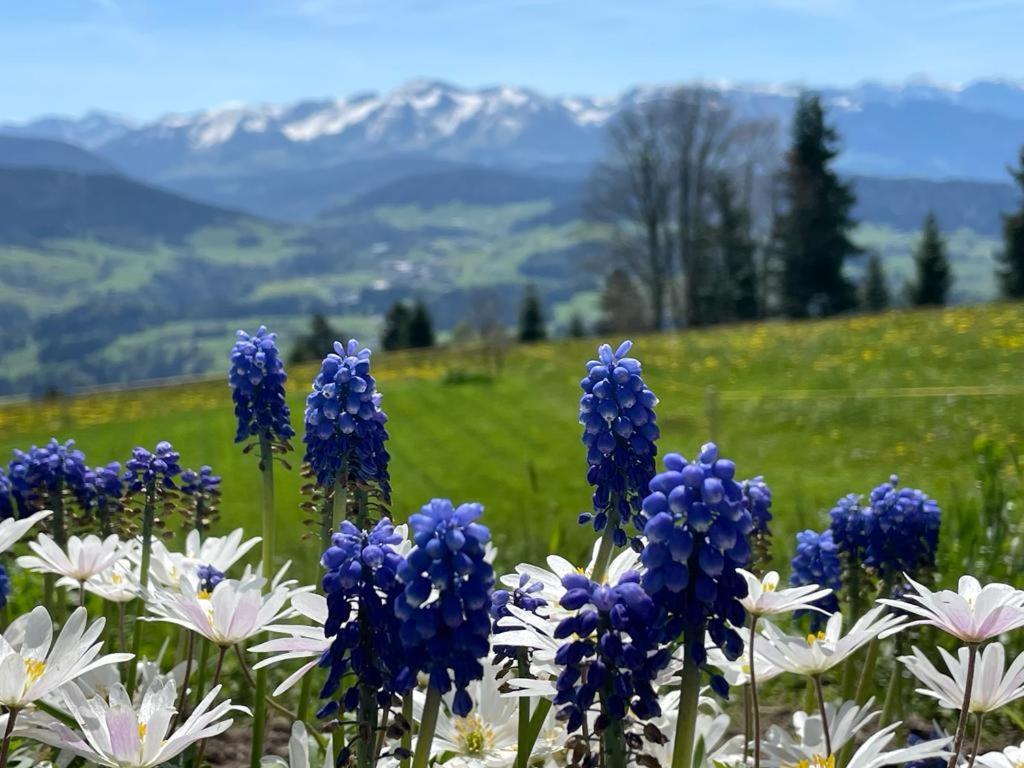 Frühstückspension Bilgeri