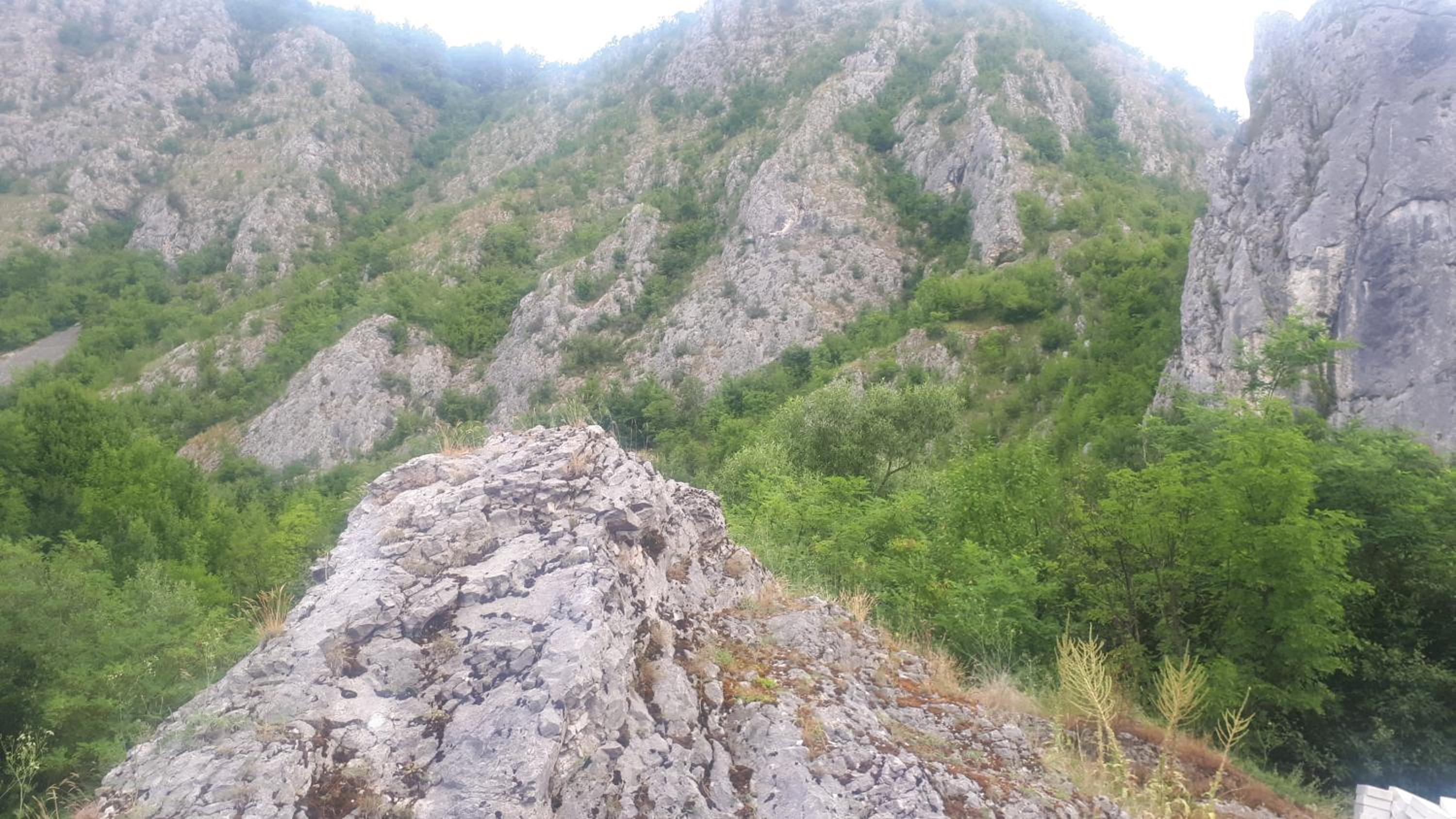 Photo 46