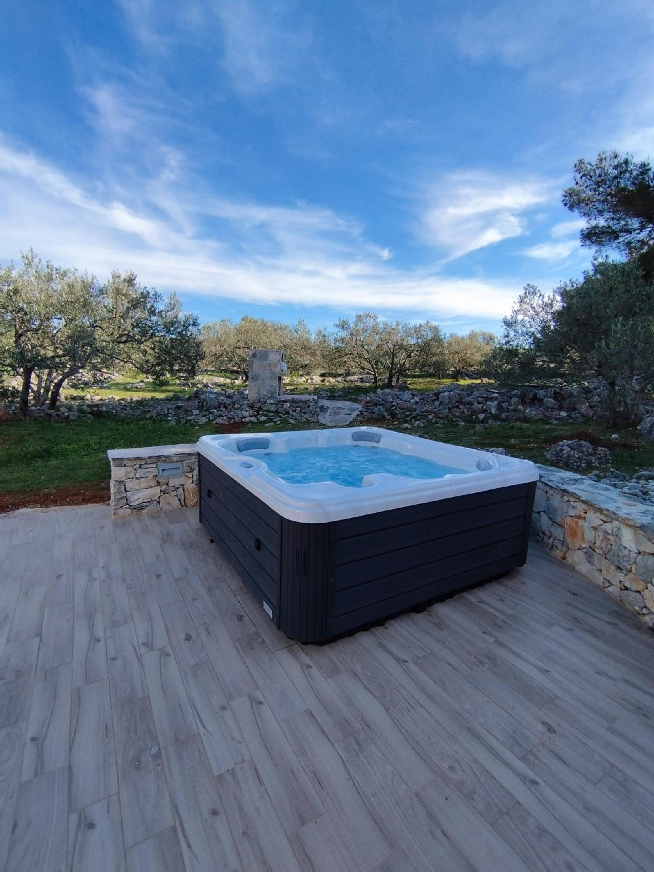 Peaceful home Olea oblica view 2