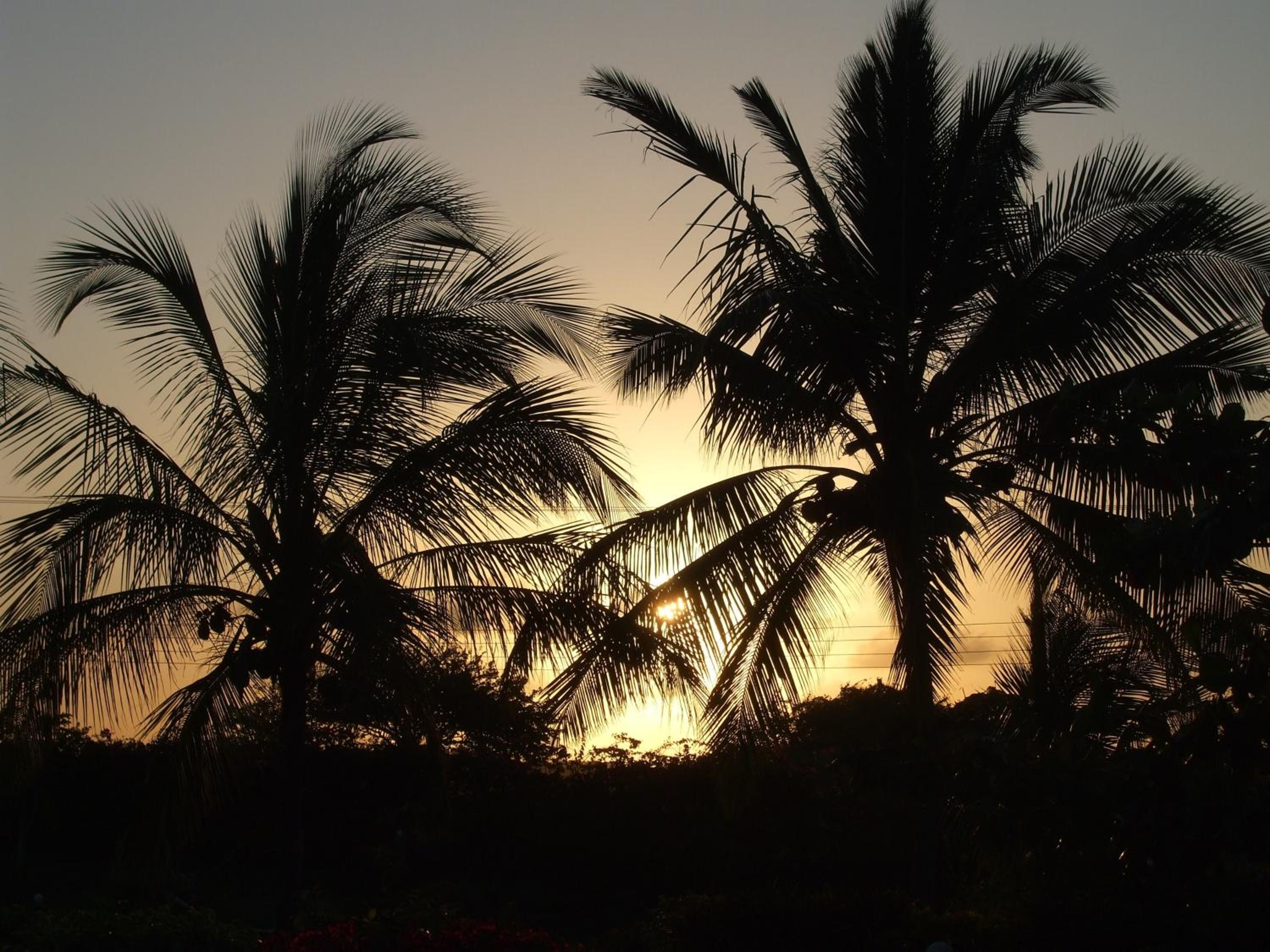 Flamingo Villas Resort