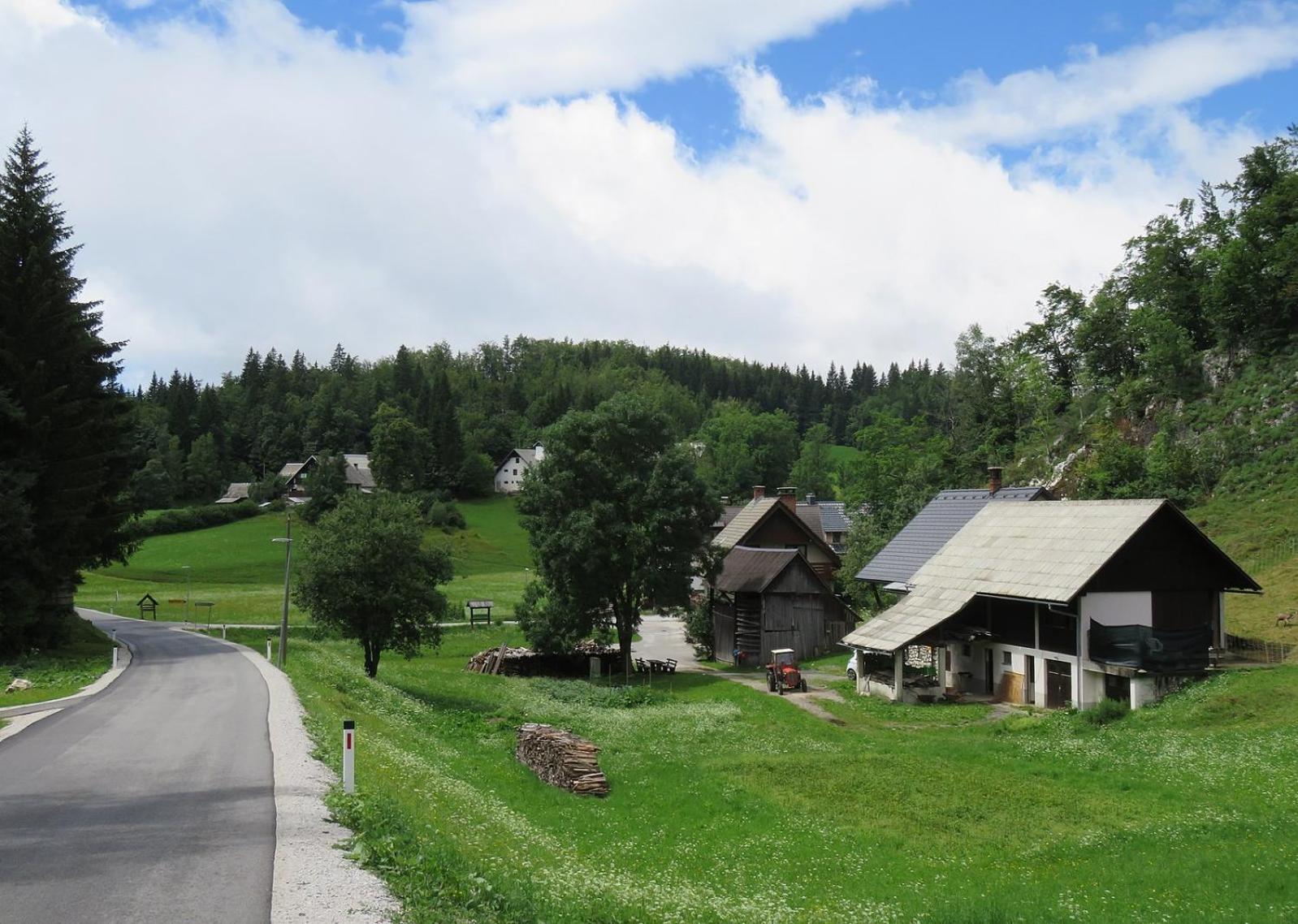 Photo 20