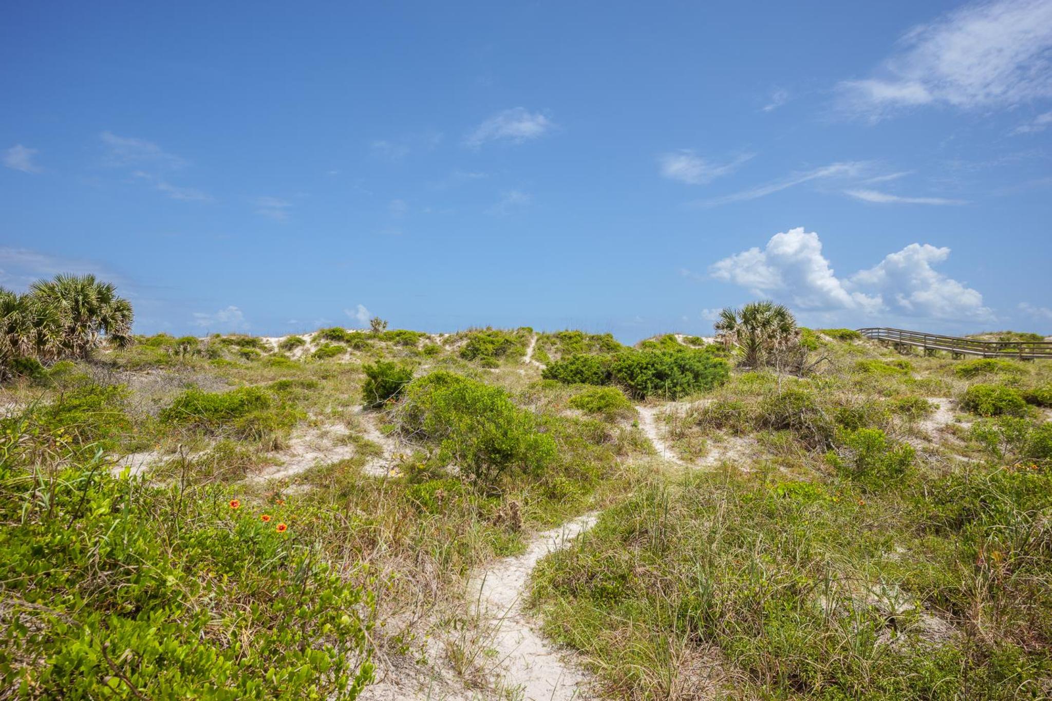 Pounds Cottage, 1 Bedroom, Sleeps 4, Ocean Front, Pet Friendly - Property Image 14