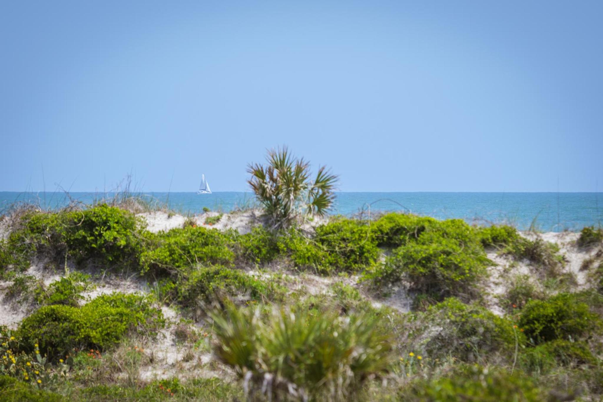 Pounds Cottage, 1 Bedroom, Sleeps 4, Ocean Front, Pet Friendly - Property Image 12