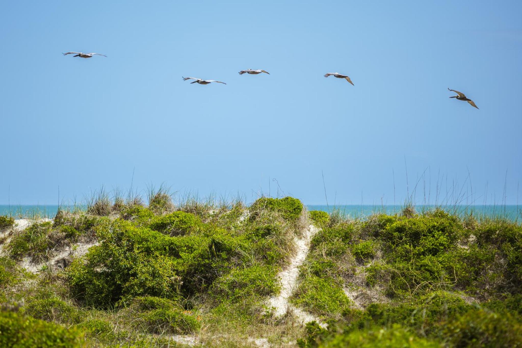 Pounds Cottage, 1 Bedroom, Sleeps 4, Ocean Front, Pet Friendly - Property Image 10