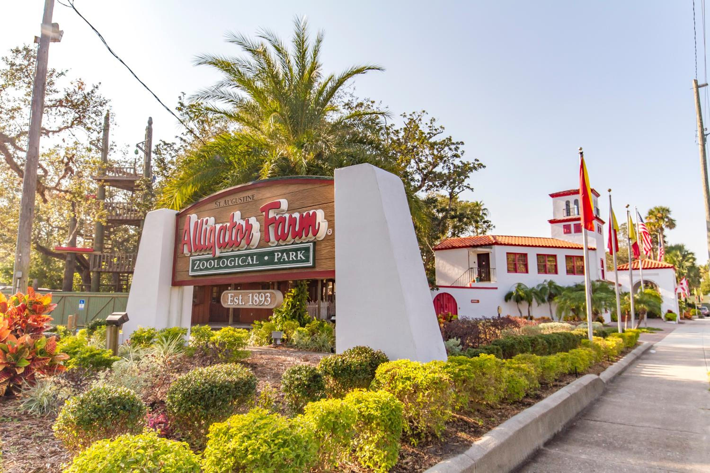 Pounds Cottage, 1 Bedroom, Sleeps 4, Ocean Front, Pet Friendly - Property Image 7