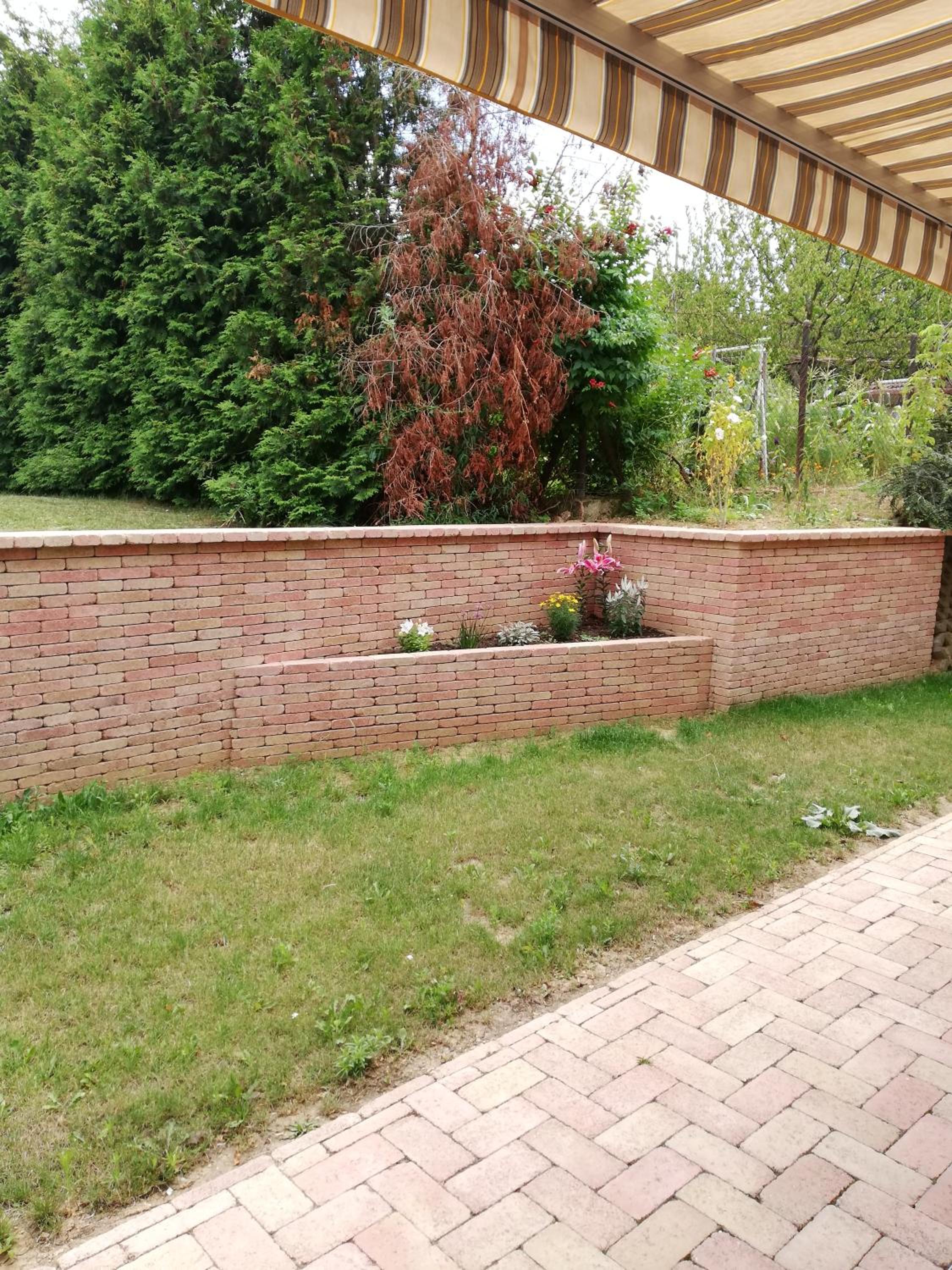 Photo 43