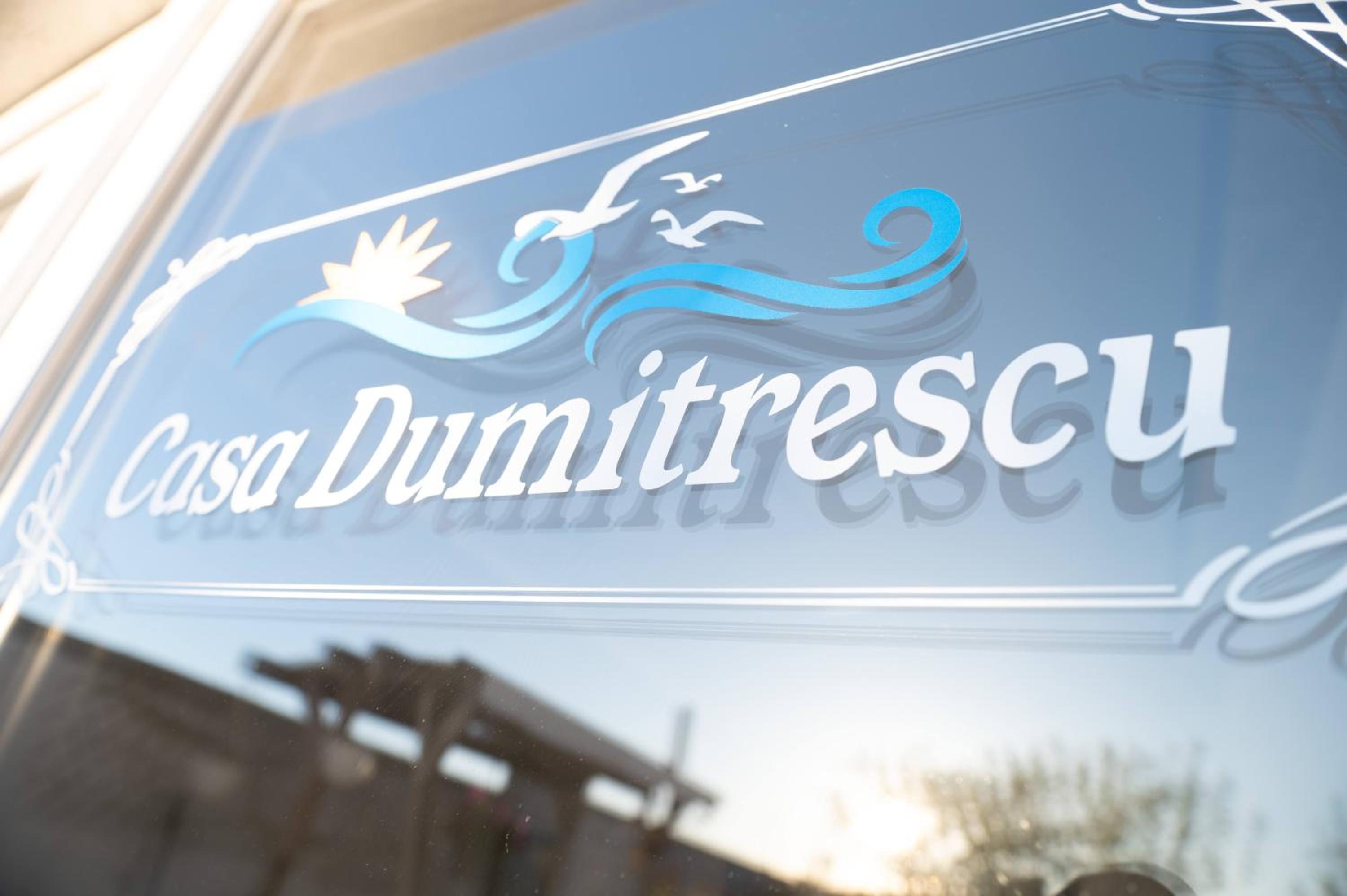 Casa Dumitrescu view 2