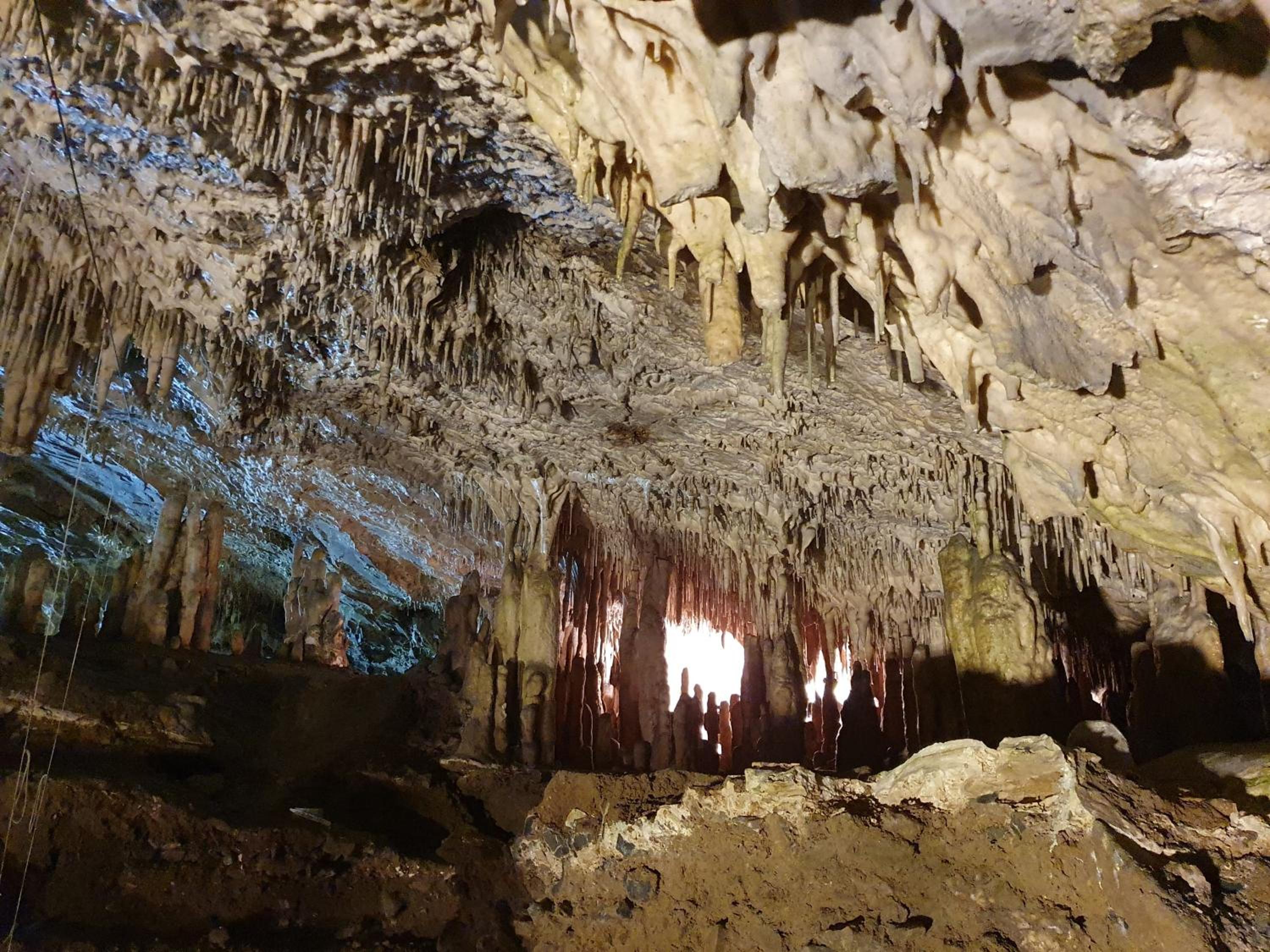 Gîte La Petite Ourse - gîte de charme citadin