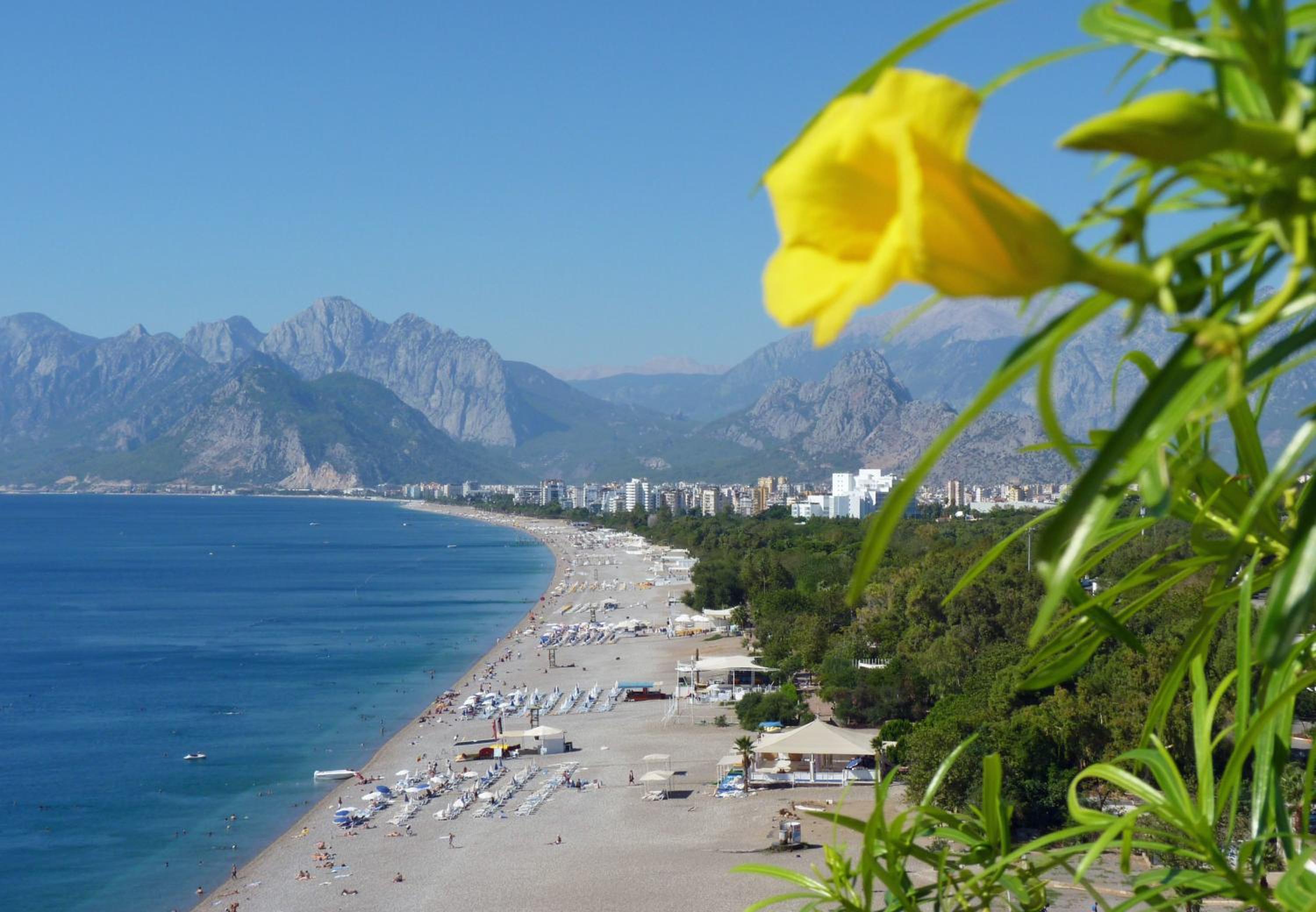 White Star Antalya - Image 73