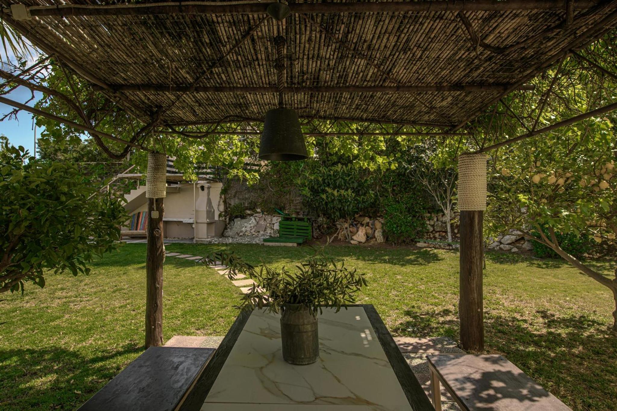 Photo 44