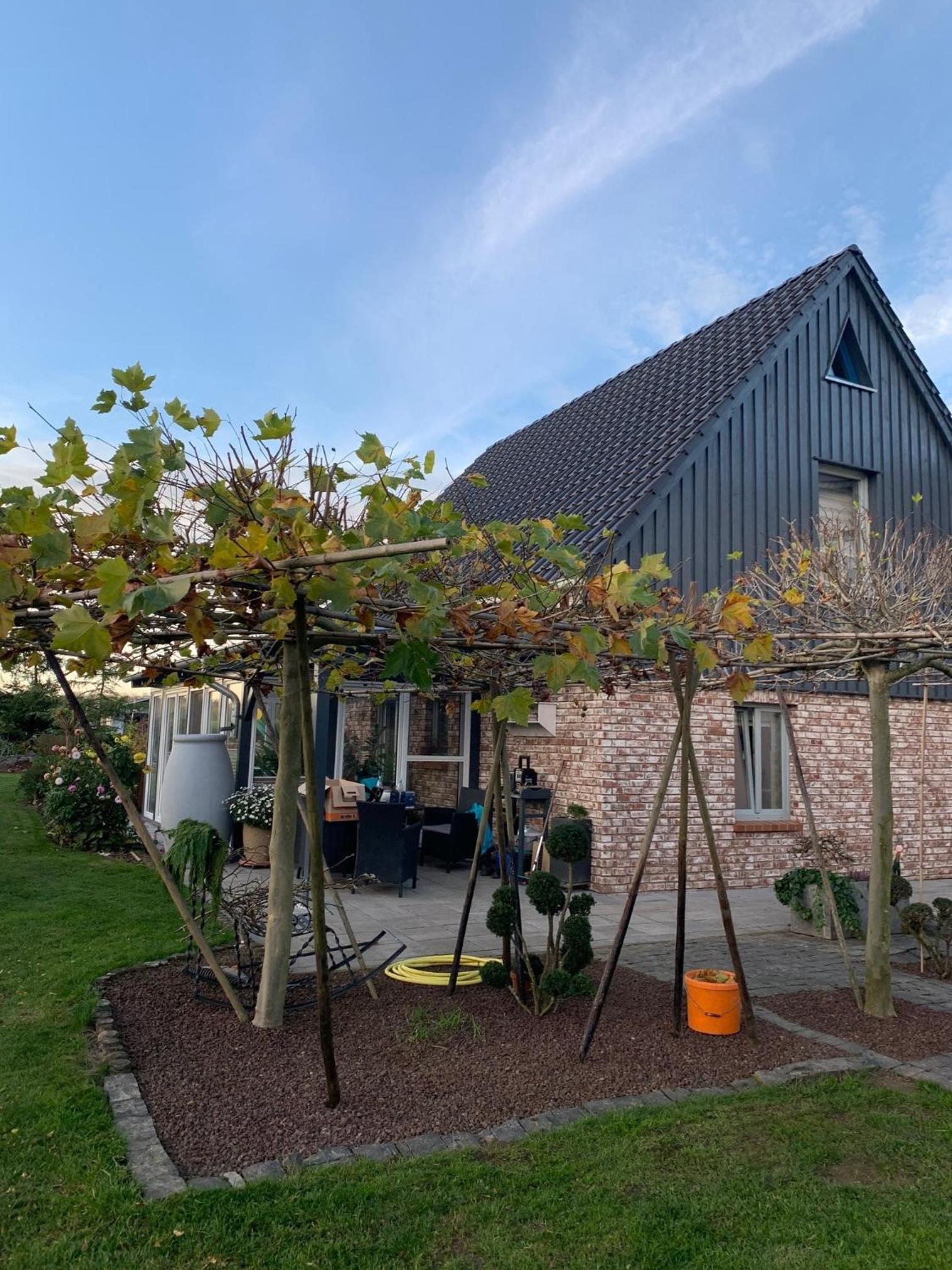 Ferienhaus im Grünen