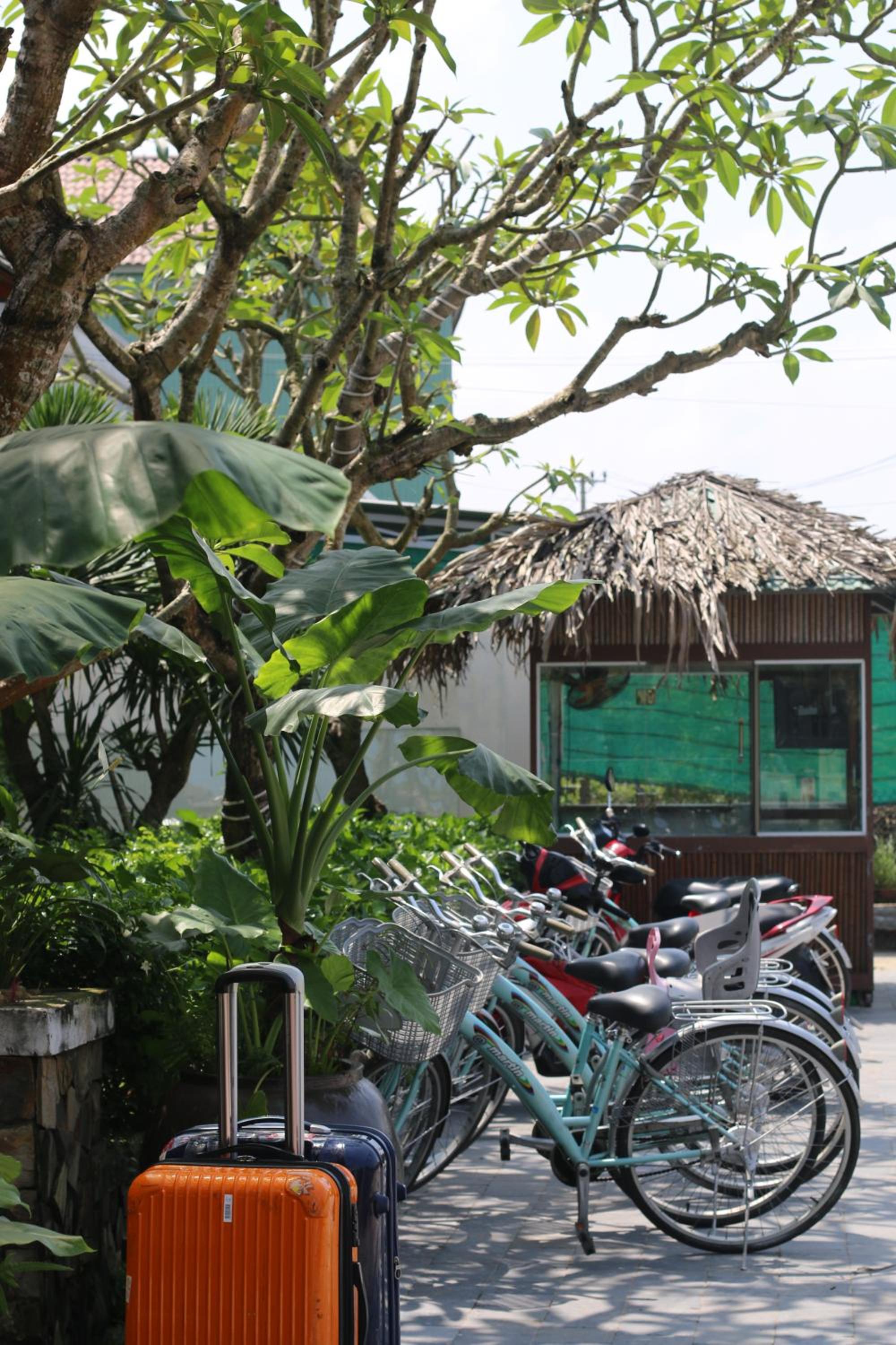 Hoi An Eco Lodge & Spa 9