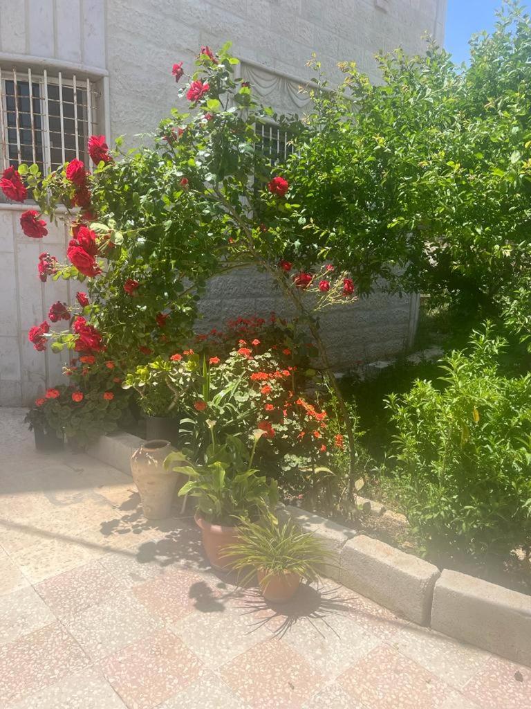Ajloun Rest House view 5