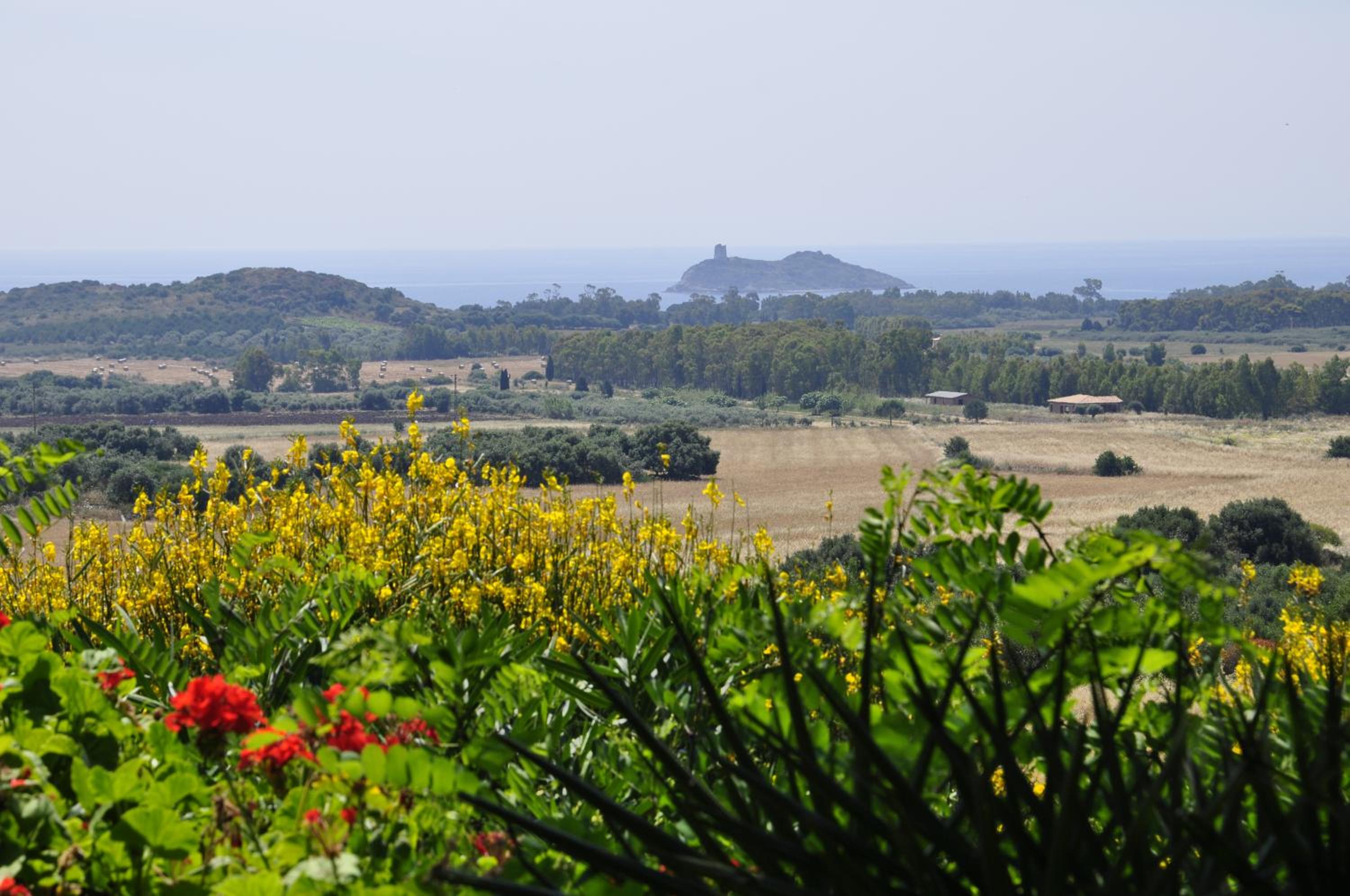 Bed & Breakfast Agriturismo San Macario