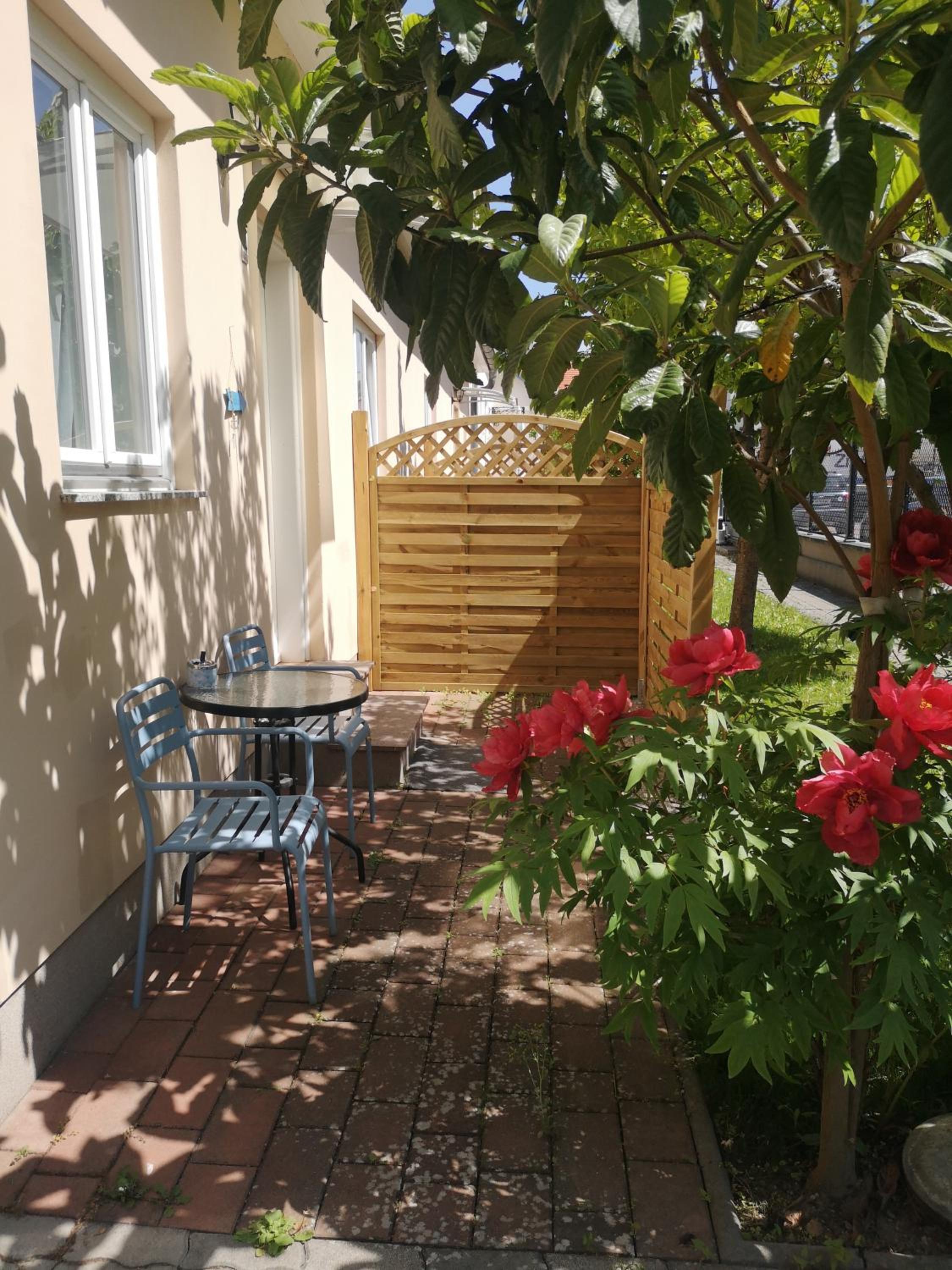 Terrasse Wohnungen mit parking in Zentrum