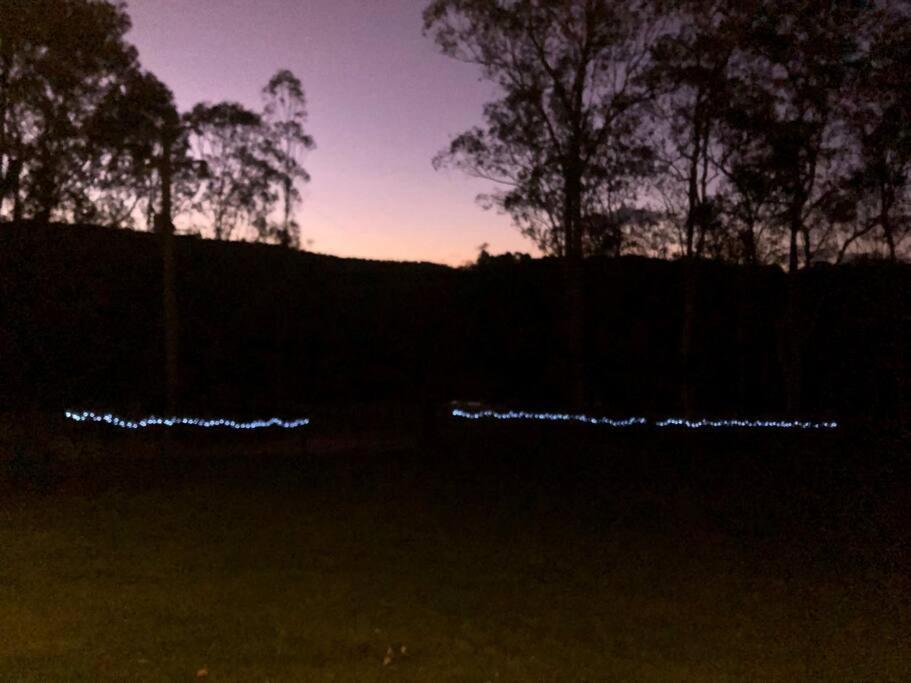 Kangoo - Peacefull tree lined property, wildlife