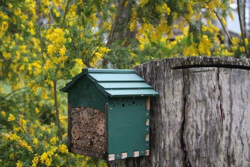 Kangoo - Peacefull tree lined property, wildlife