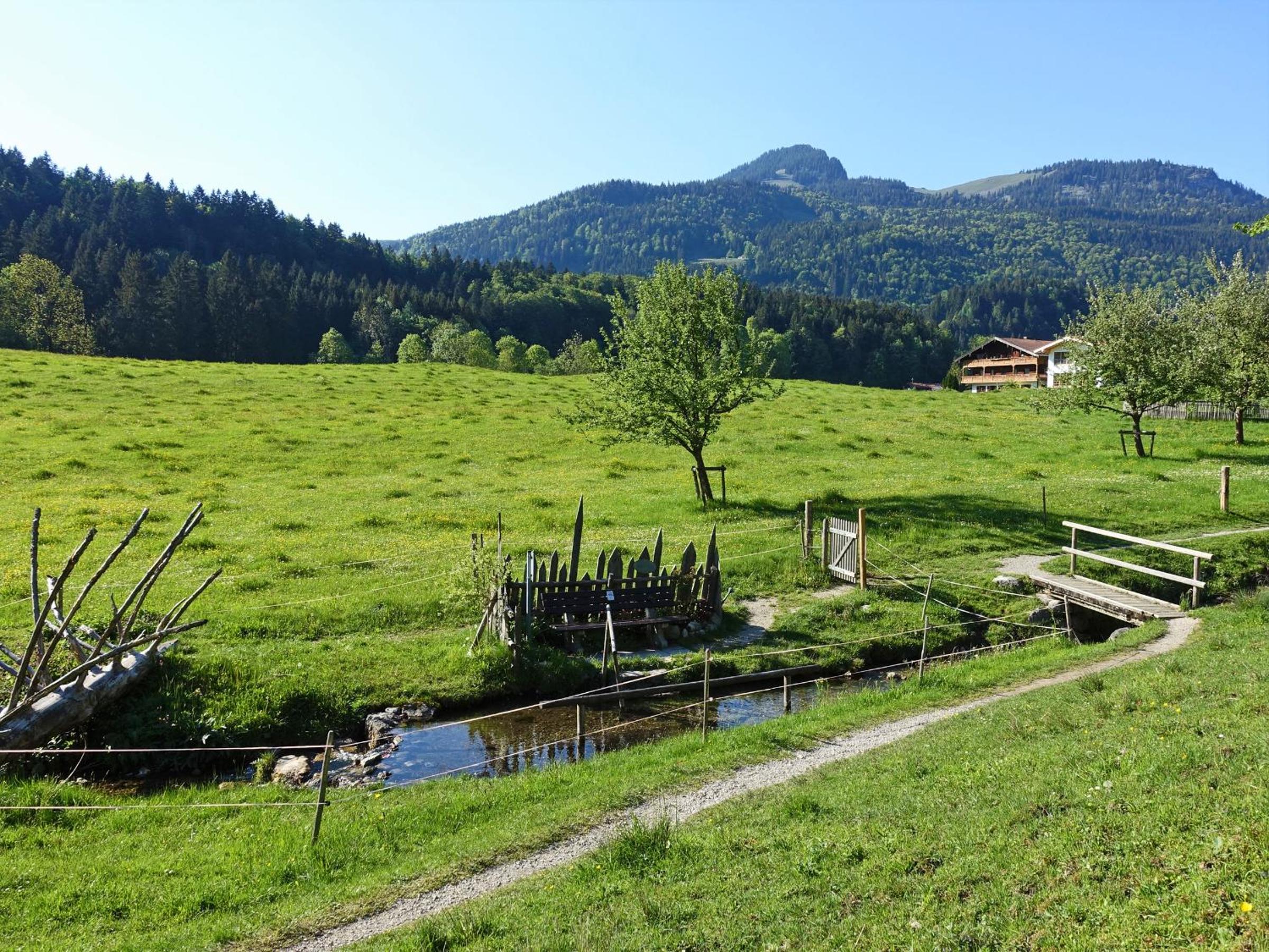 Ferienwohnung Murmeltier view 2