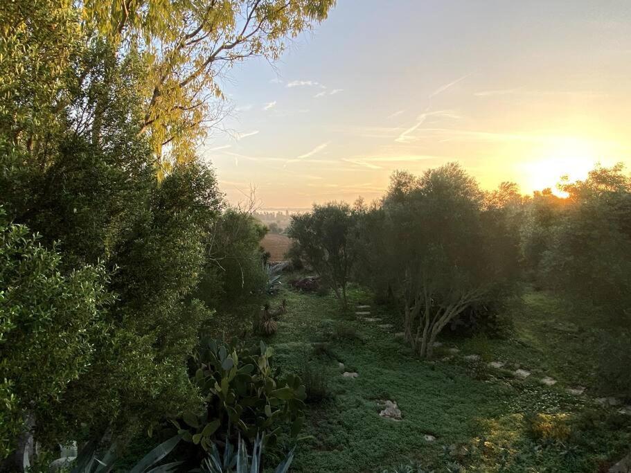 Finca Casa Farah