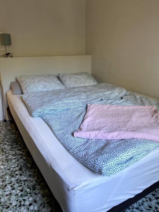 Finca Casa Farah