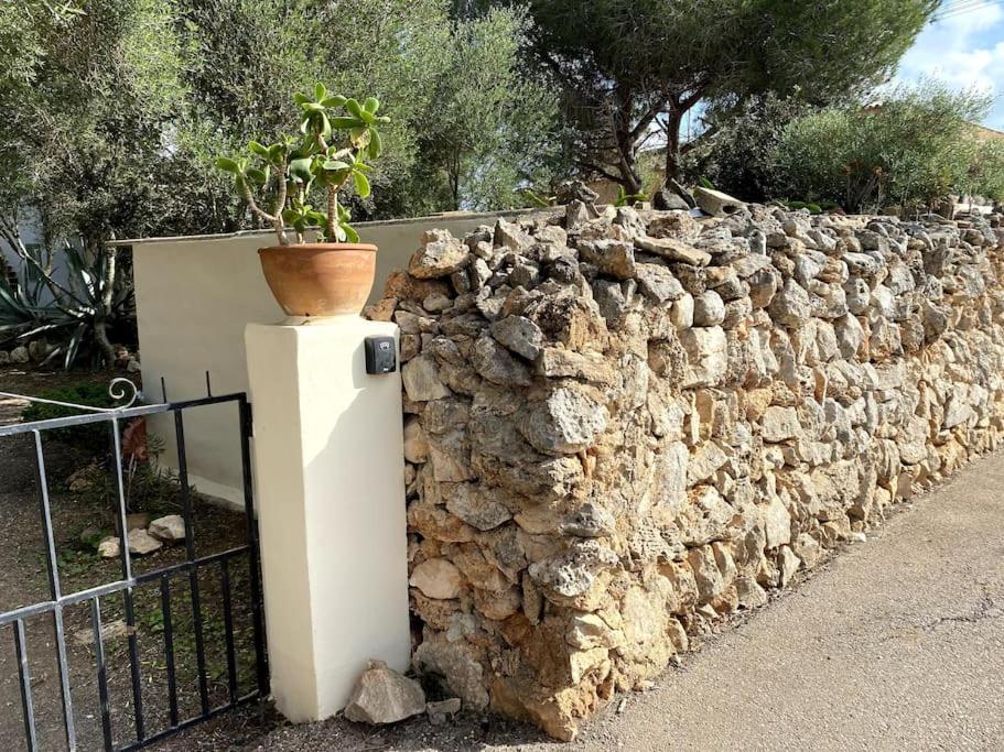Finca Casa Farah