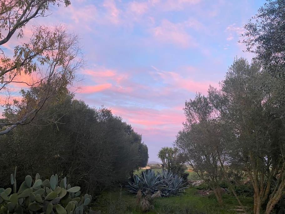 Finca Casa Farah