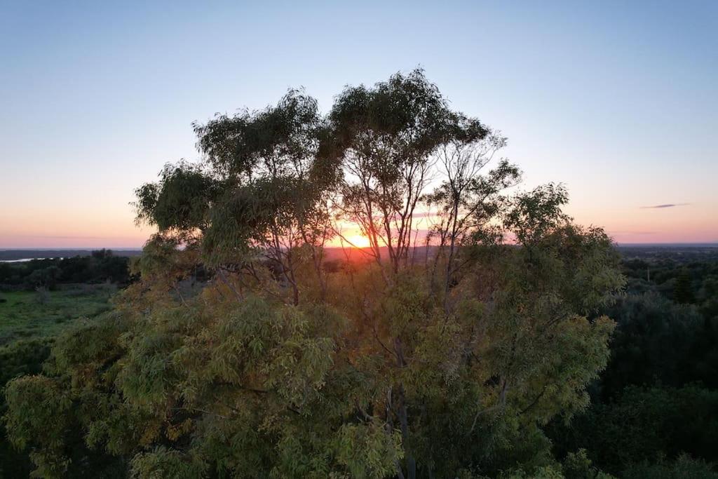 Finca Casa Farah