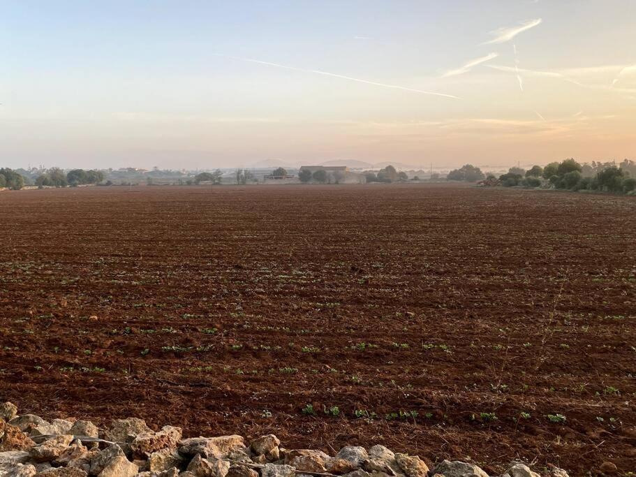 Finca Casa Farah