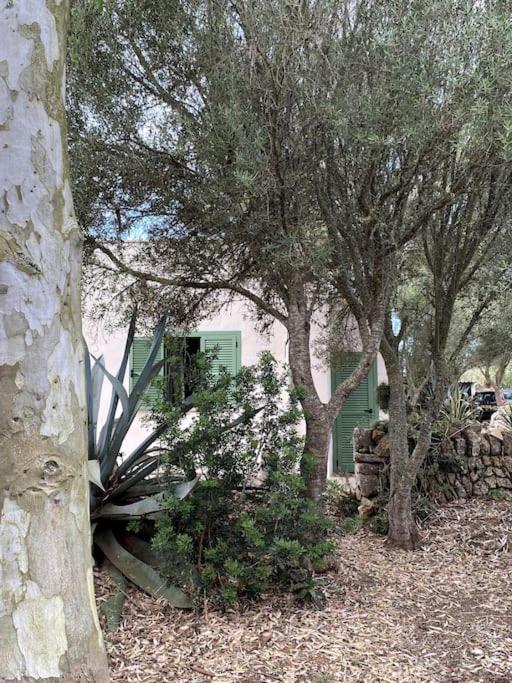 Finca Casa Farah