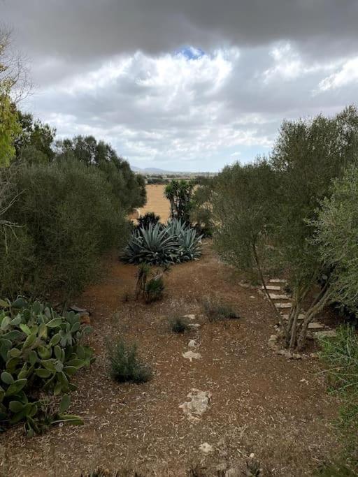 Finca Casa Farah