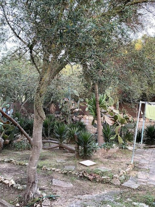 Finca Casa Farah