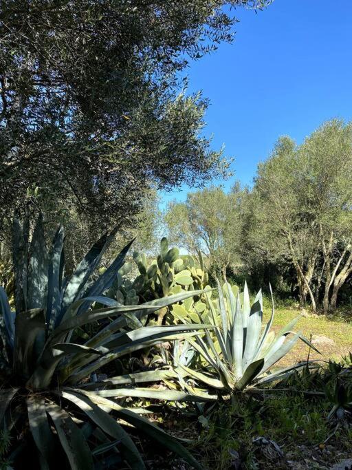 Finca Casa Farah