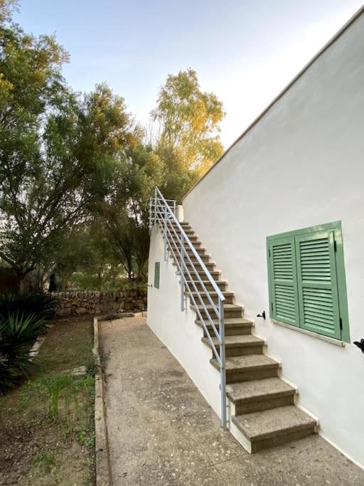 Finca Casa Farah