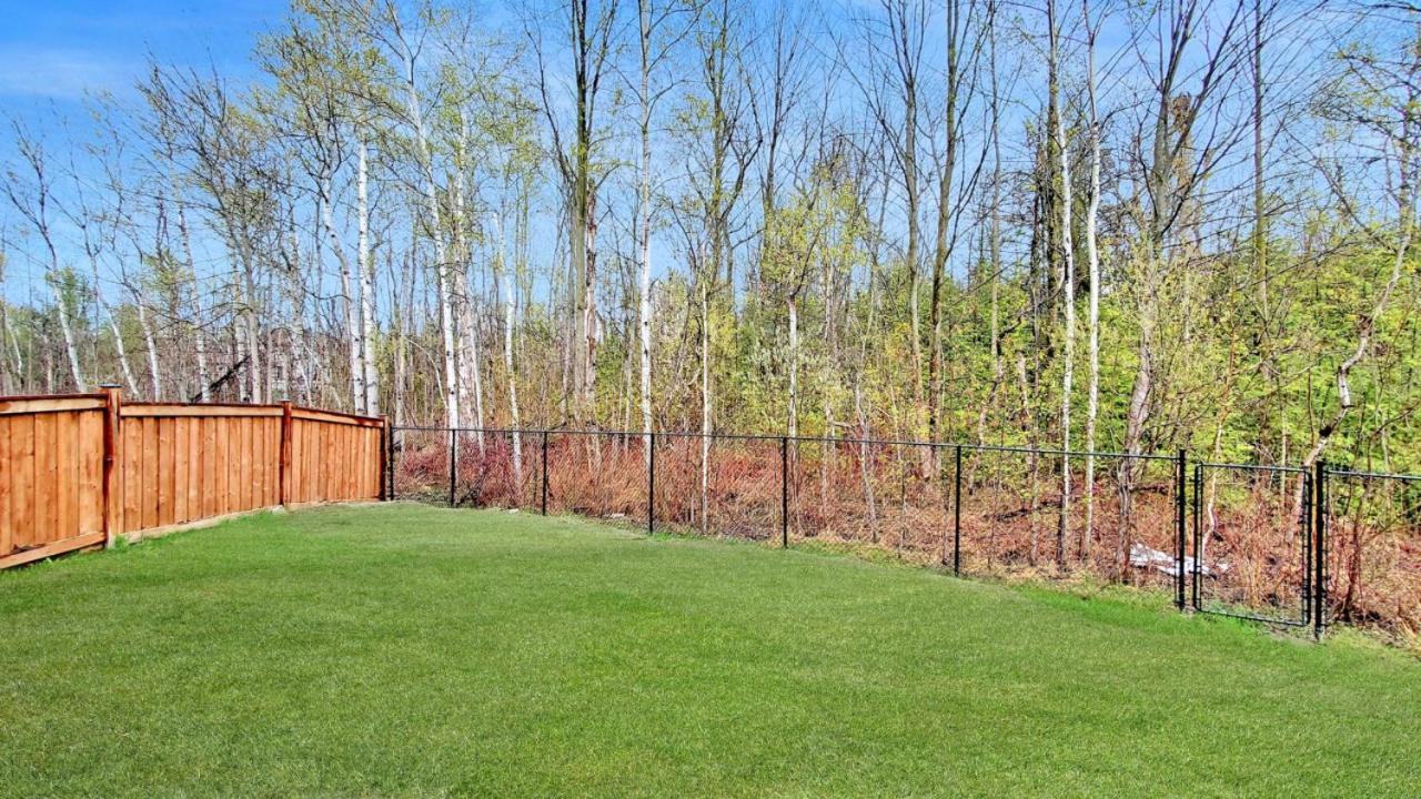 Family Modern walkout Basement wSauna Indoor Fireplace Wifi