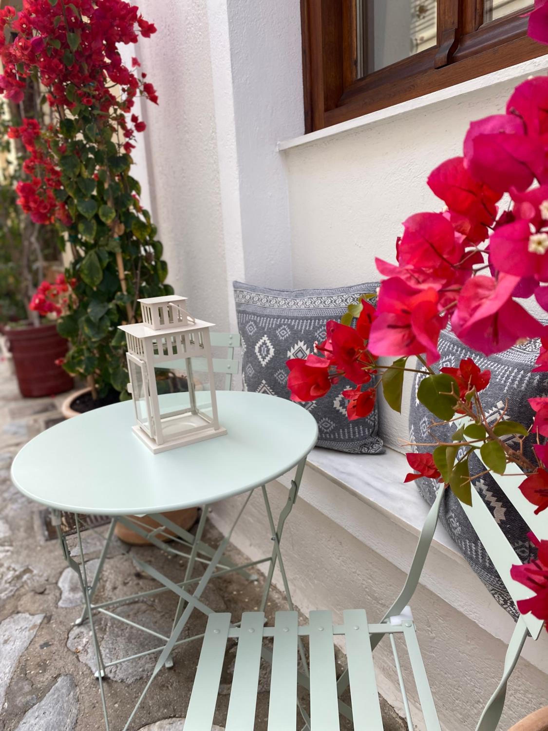 Olea White