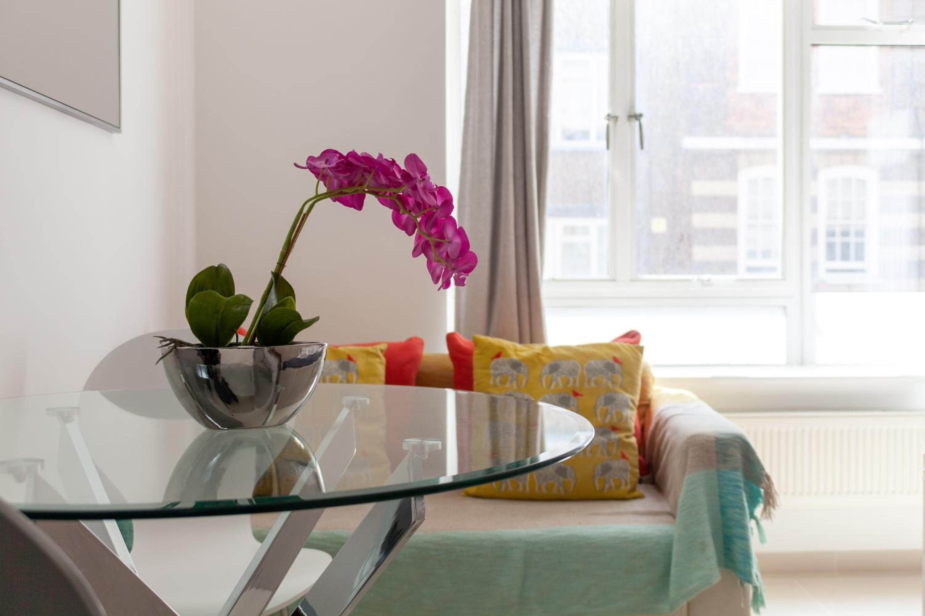 Bright Studio Flat in the Heart of Marylebone