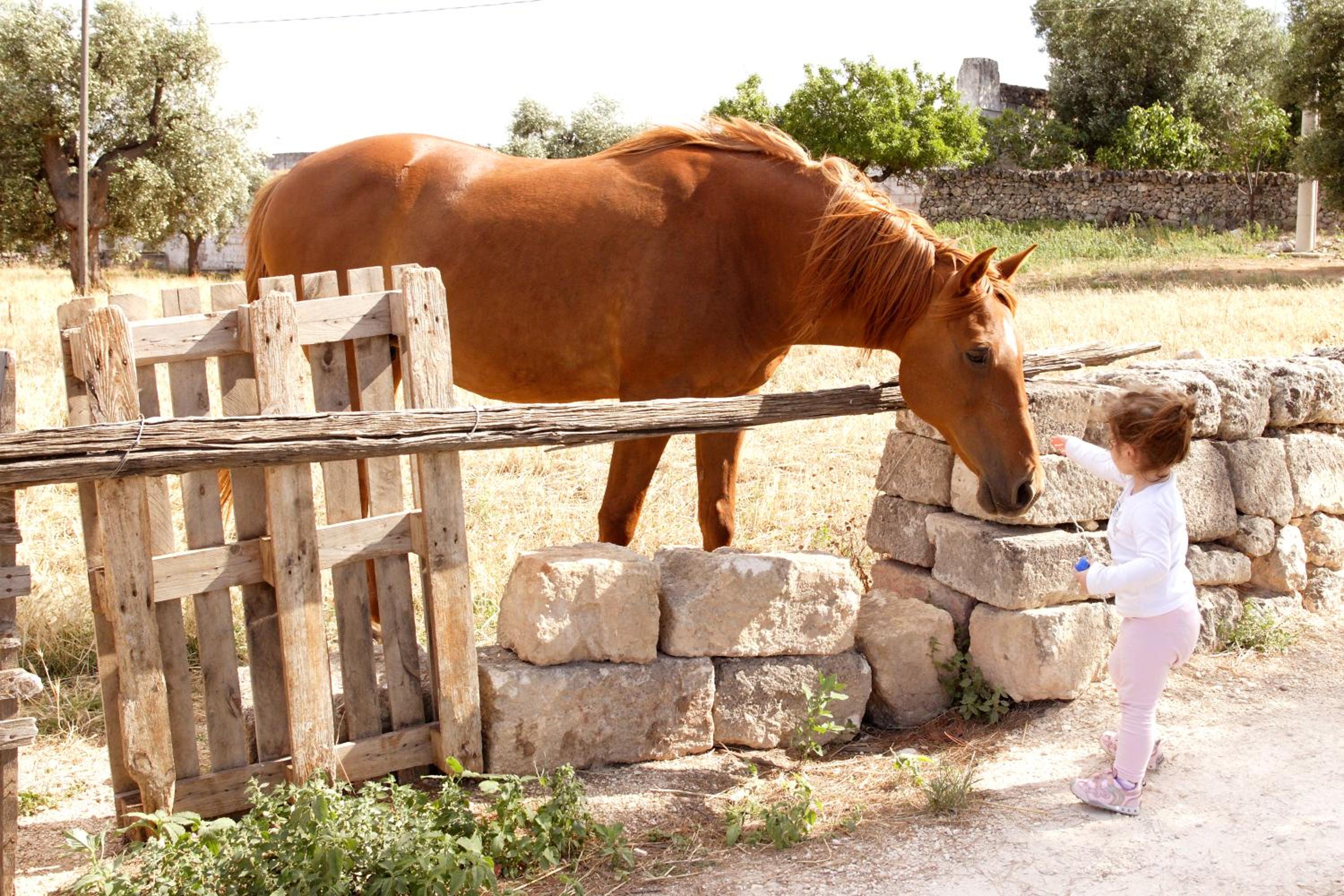 Masseria Curatori