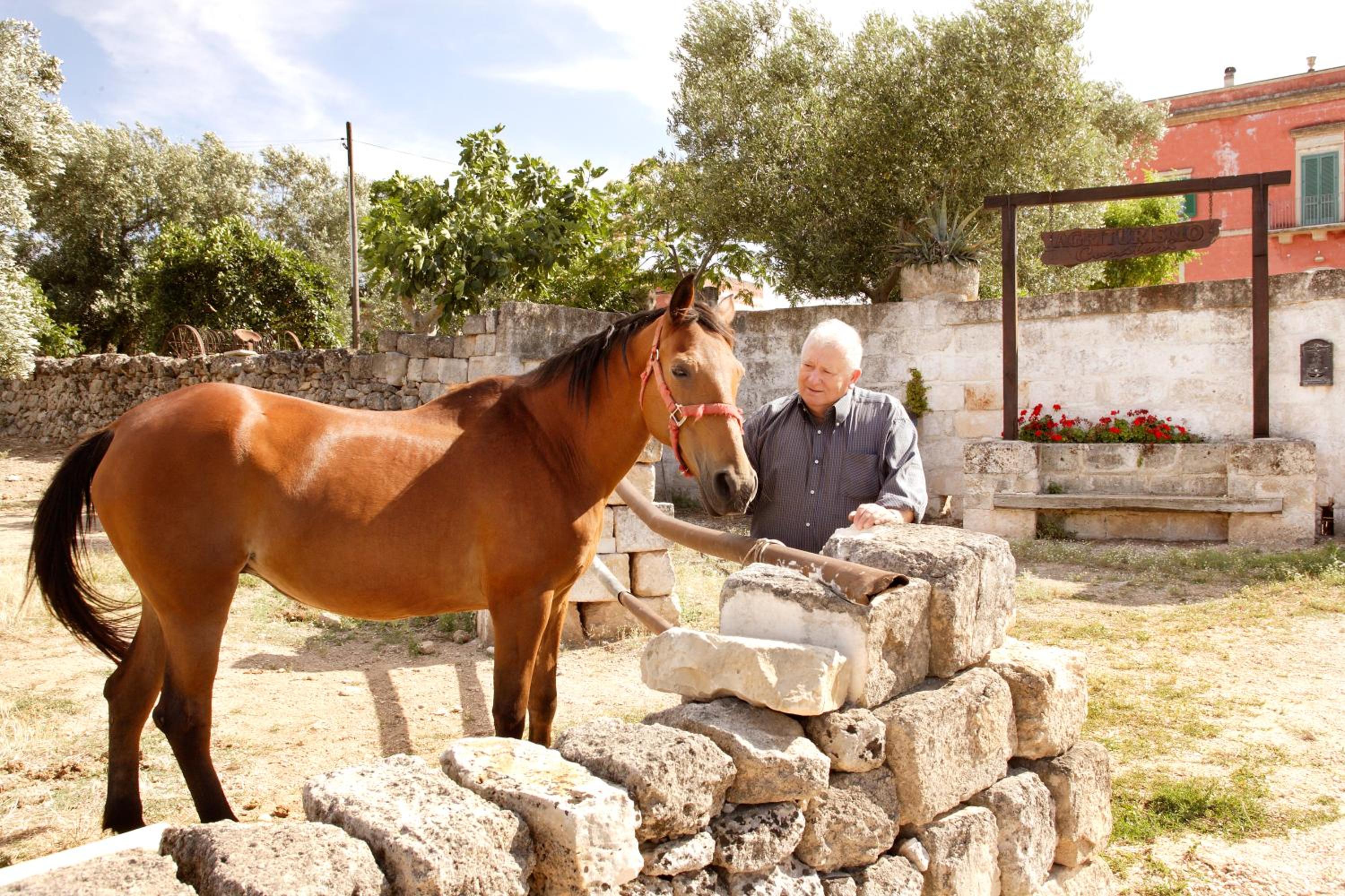 Masseria Curatori