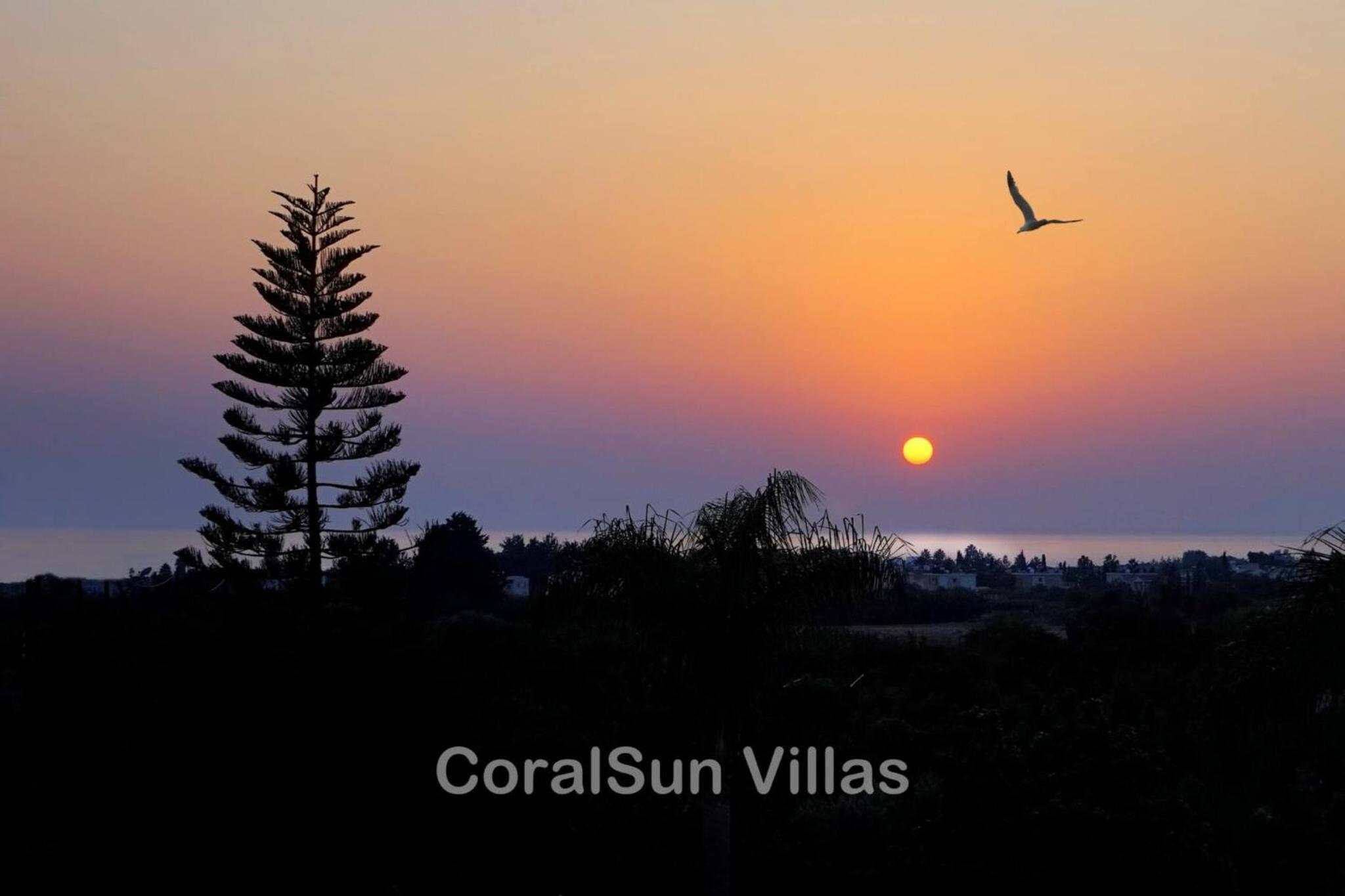 Amazing Pool, Complete Privacy, Amenities and Beach nearby