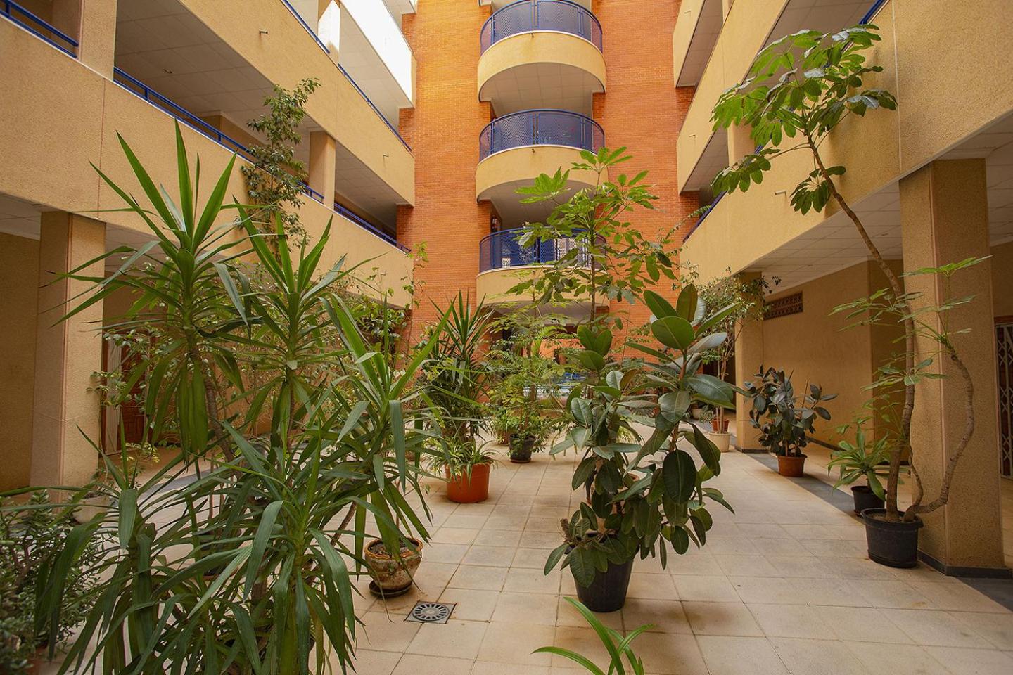144 Santomera Nice Place - Alicante Holiday view 4