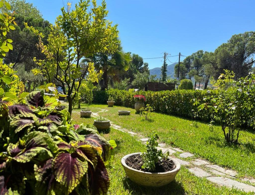 Stylish Maisonette with 3 Bedrooms in Vourvourou, Greece view 4