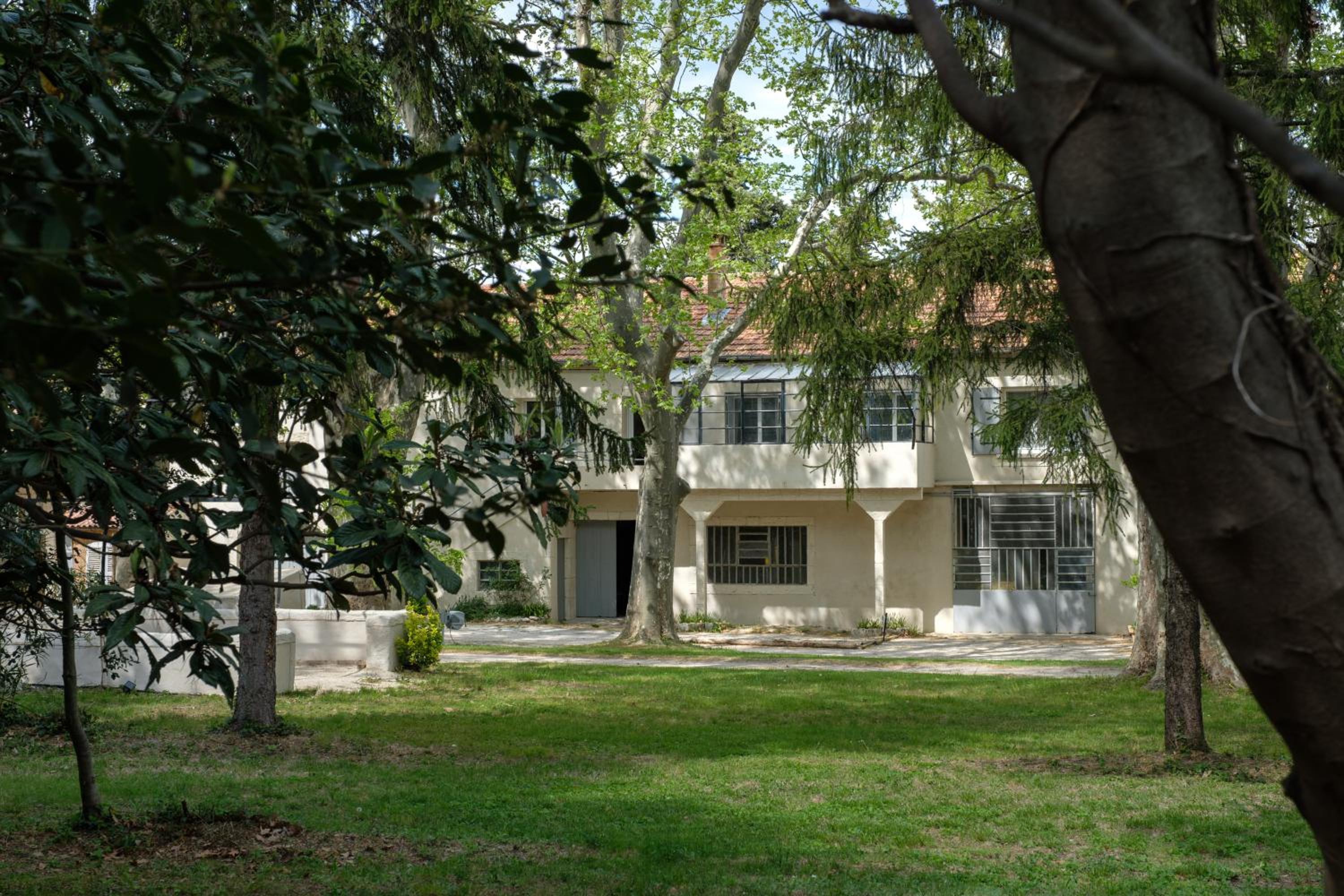 Photo 11