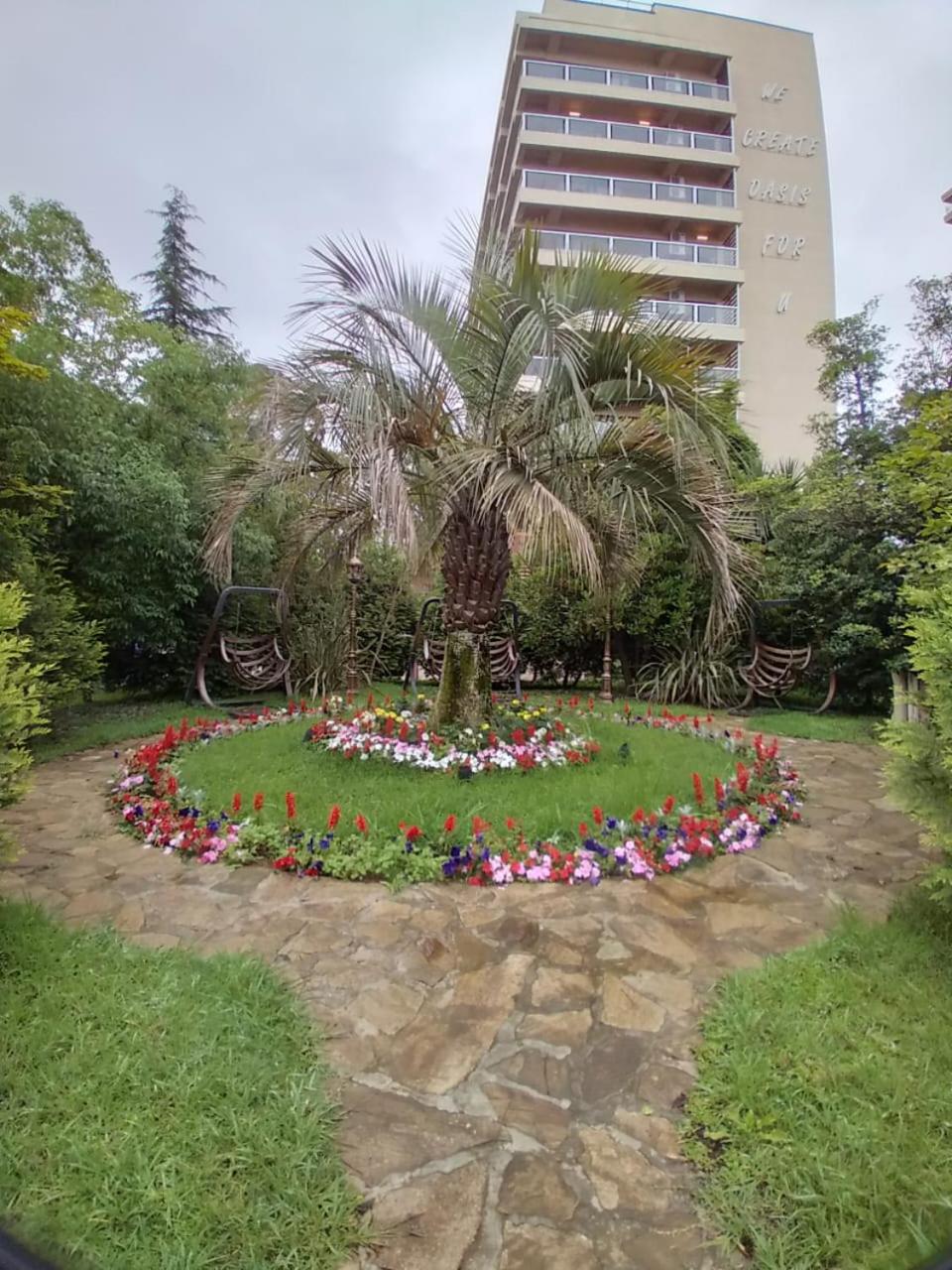 Photo 6